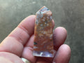 40g Orbicular Ocean Jasper Generator 3A