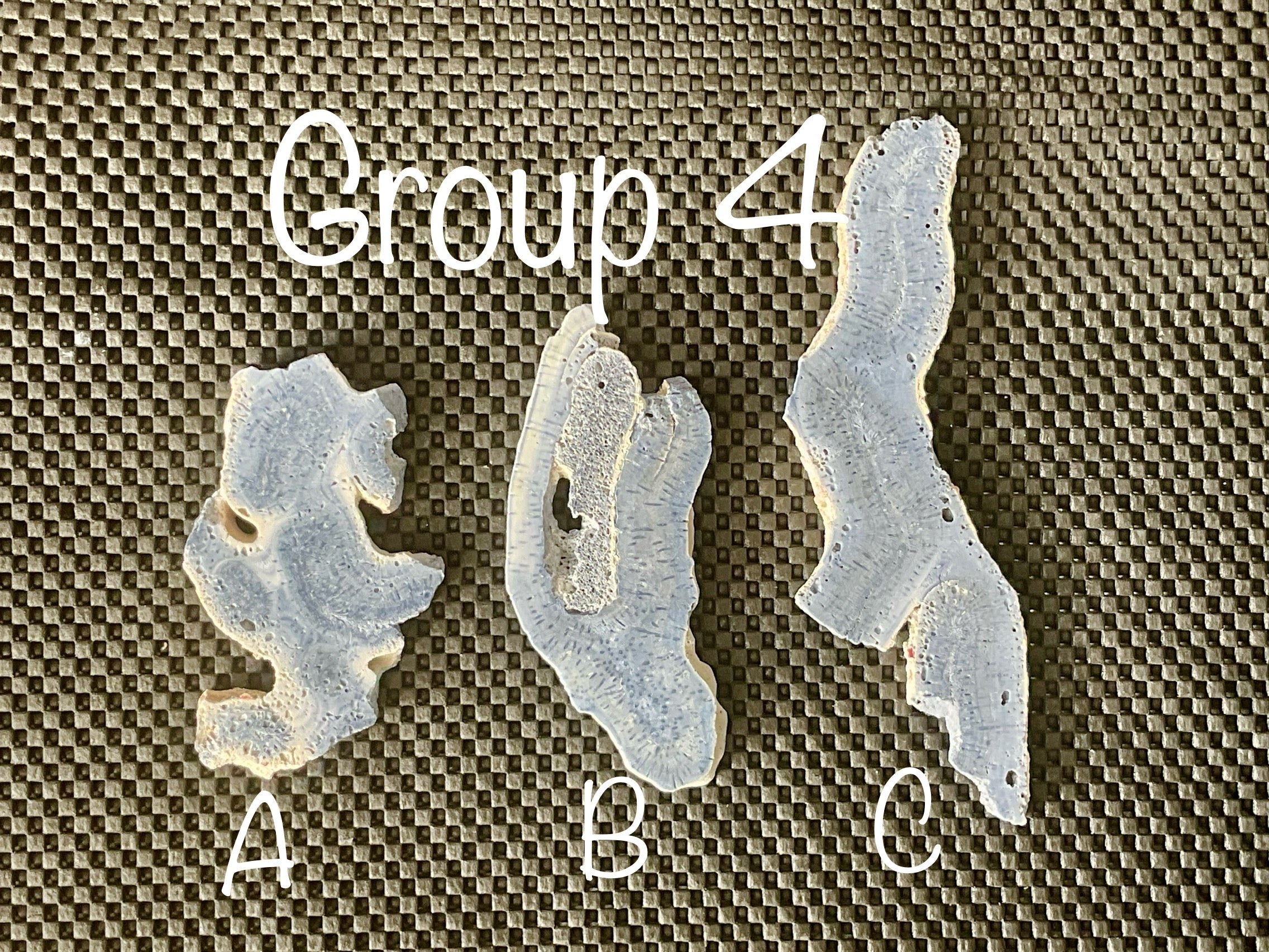 110g Natural Blue Coral Fossil Slab 4C