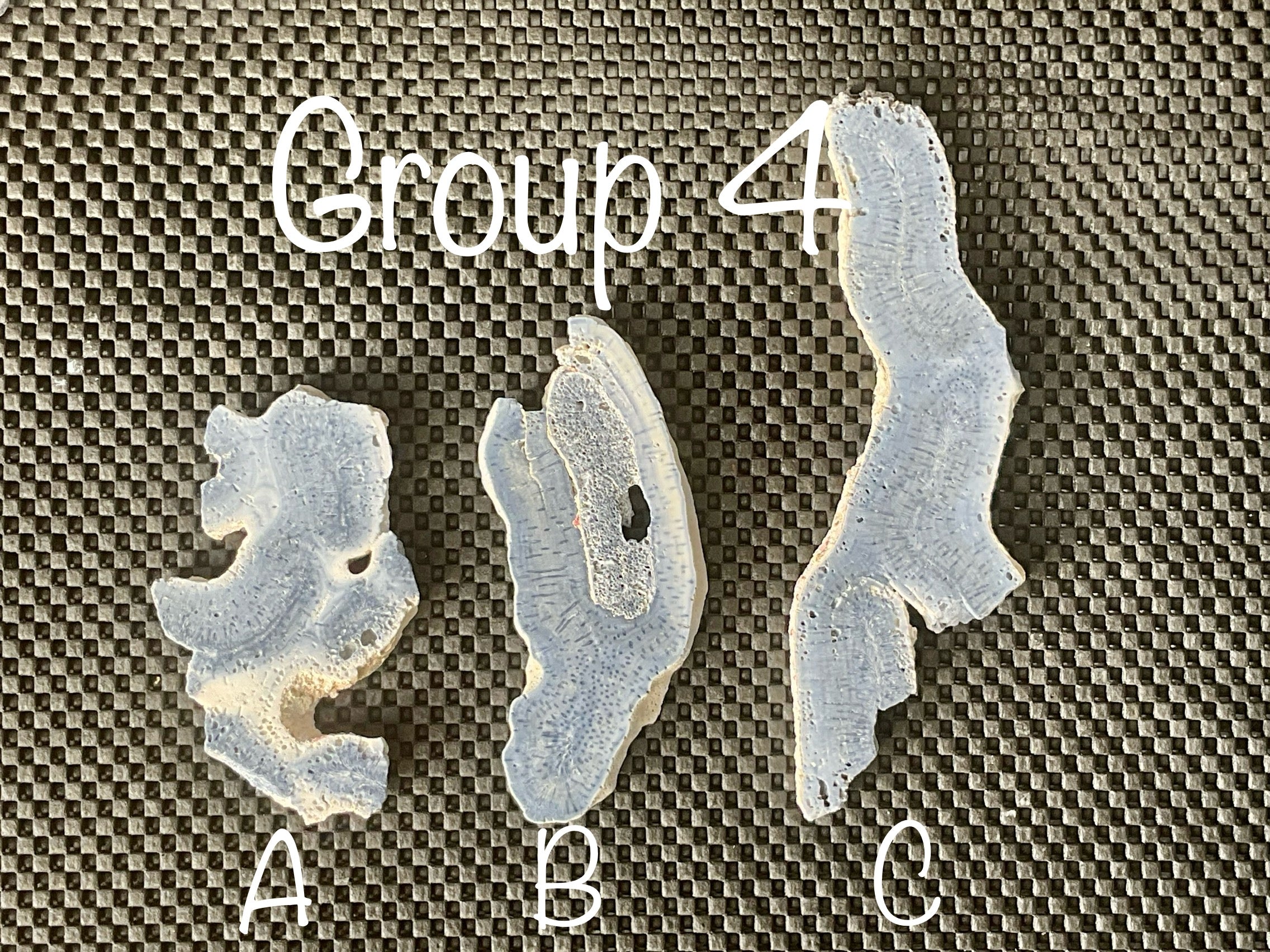 110g Natural Blue Coral Fossil Slab 4C