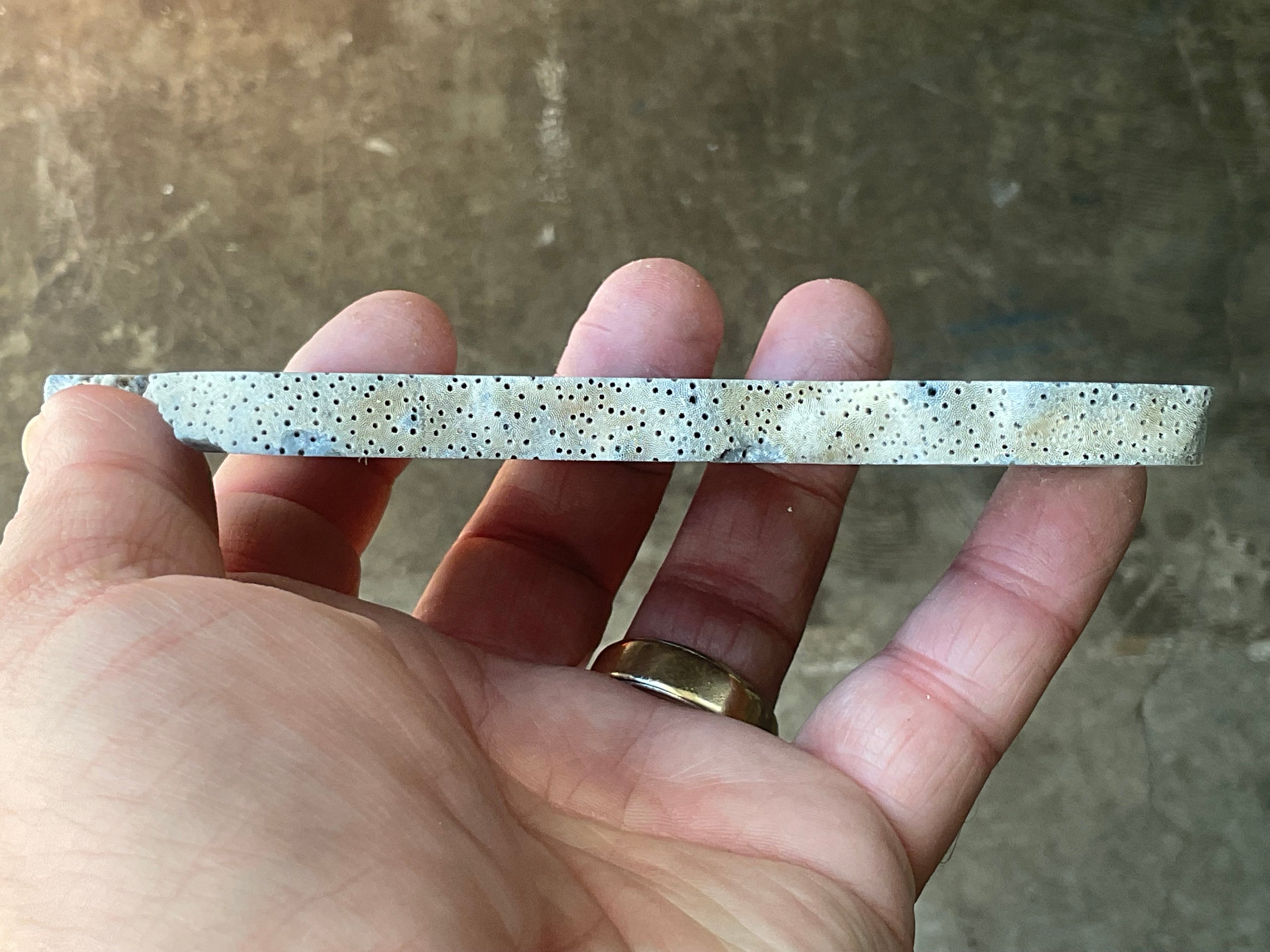 86g Natural Blue Coral Fossil Slab 4B