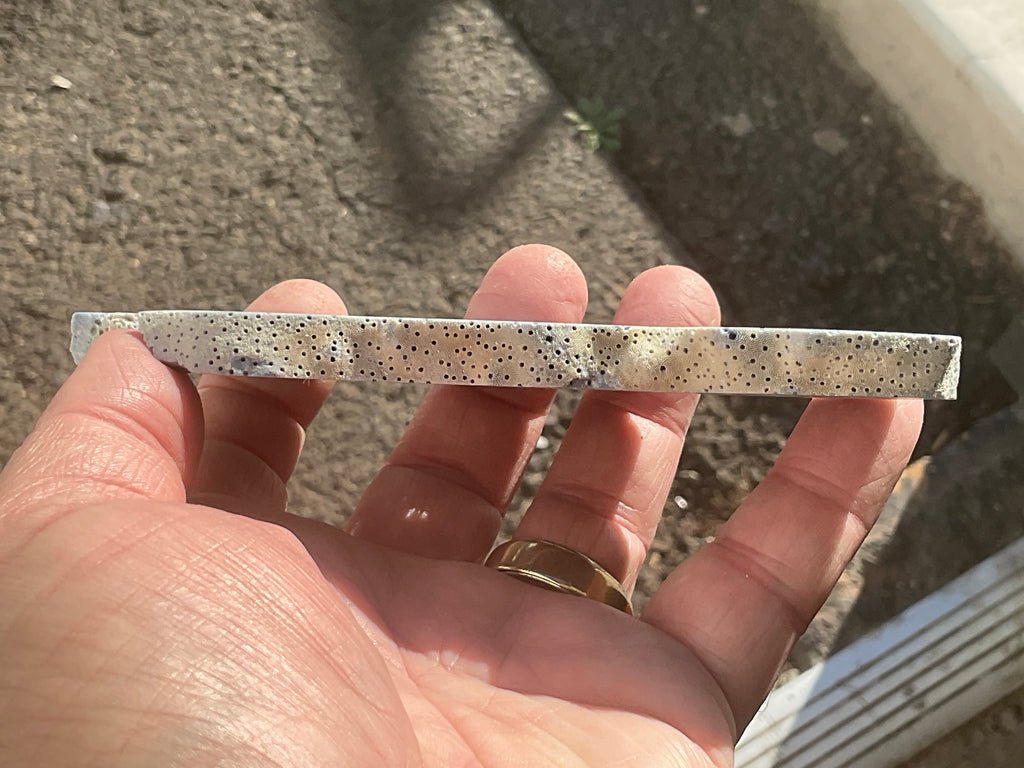 86g Natural Blue Coral Fossil Slab 4B