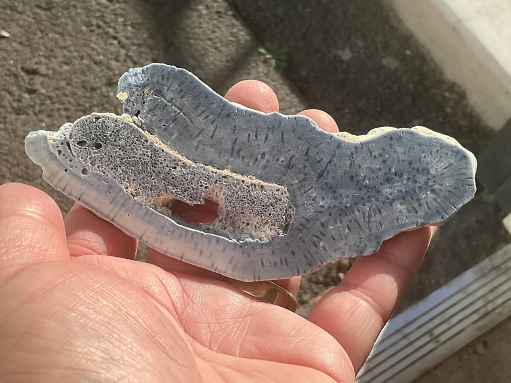 86g Natural Blue Coral Fossil Slab 4B