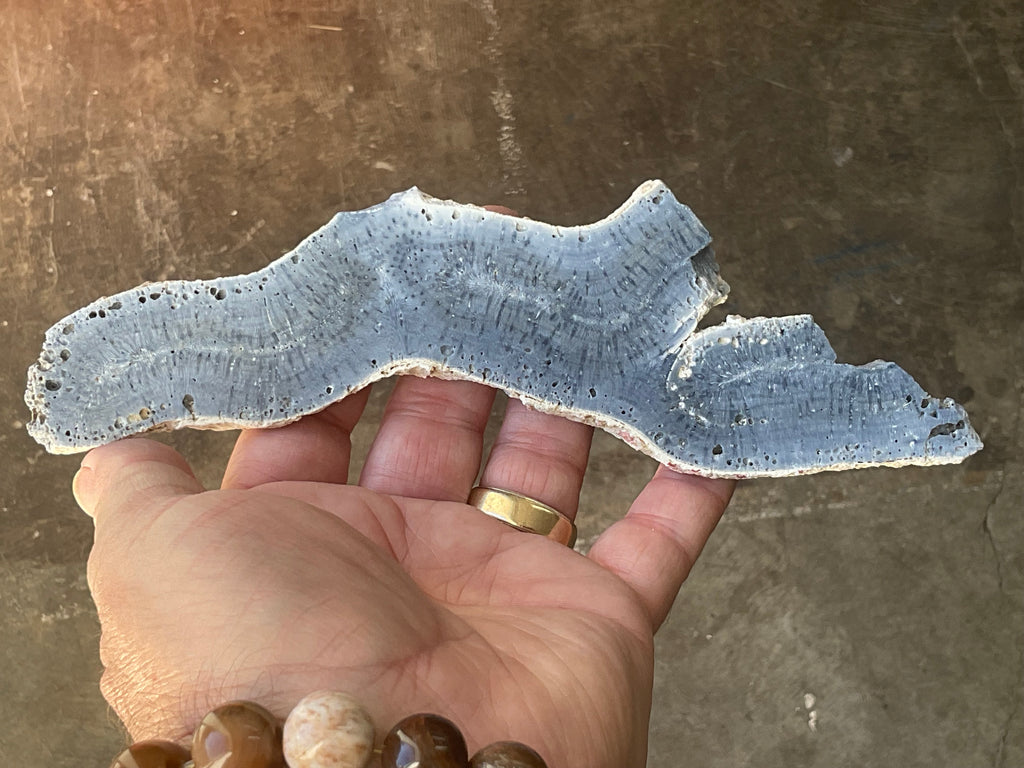 110g Natural Blue Coral Fossil Slab 4C