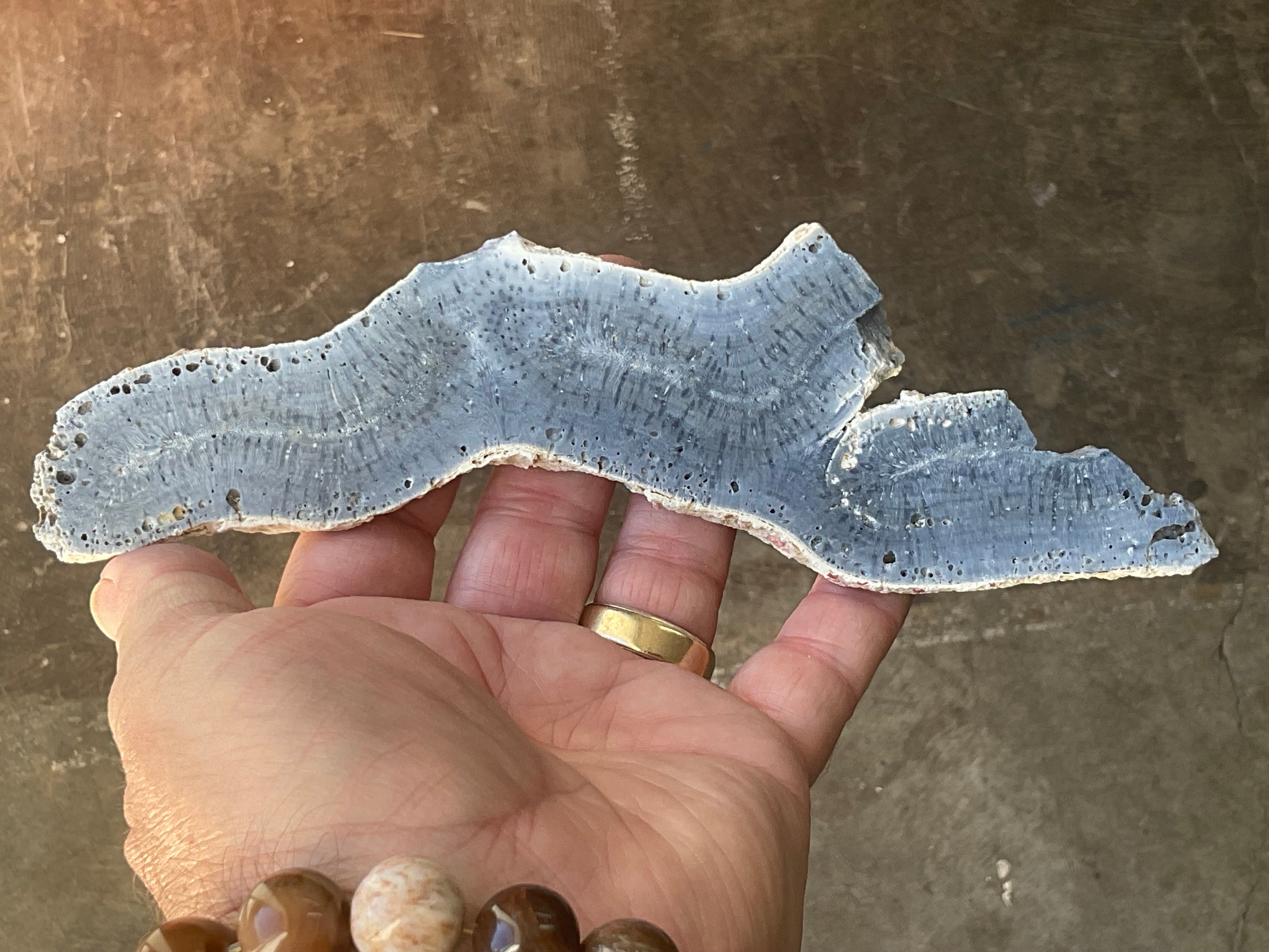 110g Natural Blue Coral Fossil Slab 4C