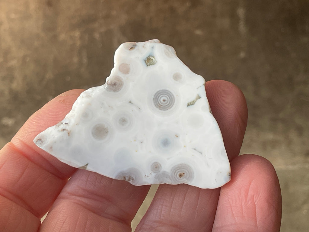 12g 8th Vein Ocean Jasper Polished Piece 2A