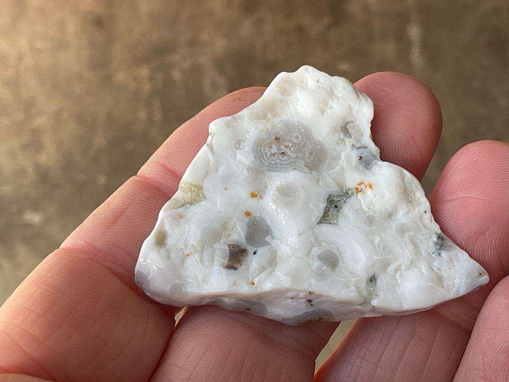 12g 8th Vein Ocean Jasper Polished Piece 2A
