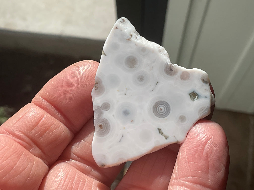 12g 8th Vein Ocean Jasper Polished Piece 2A