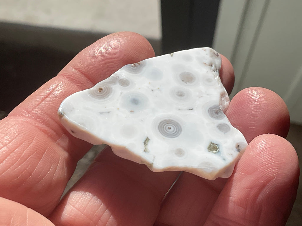 12g 8th Vein Ocean Jasper Polished Piece 2A