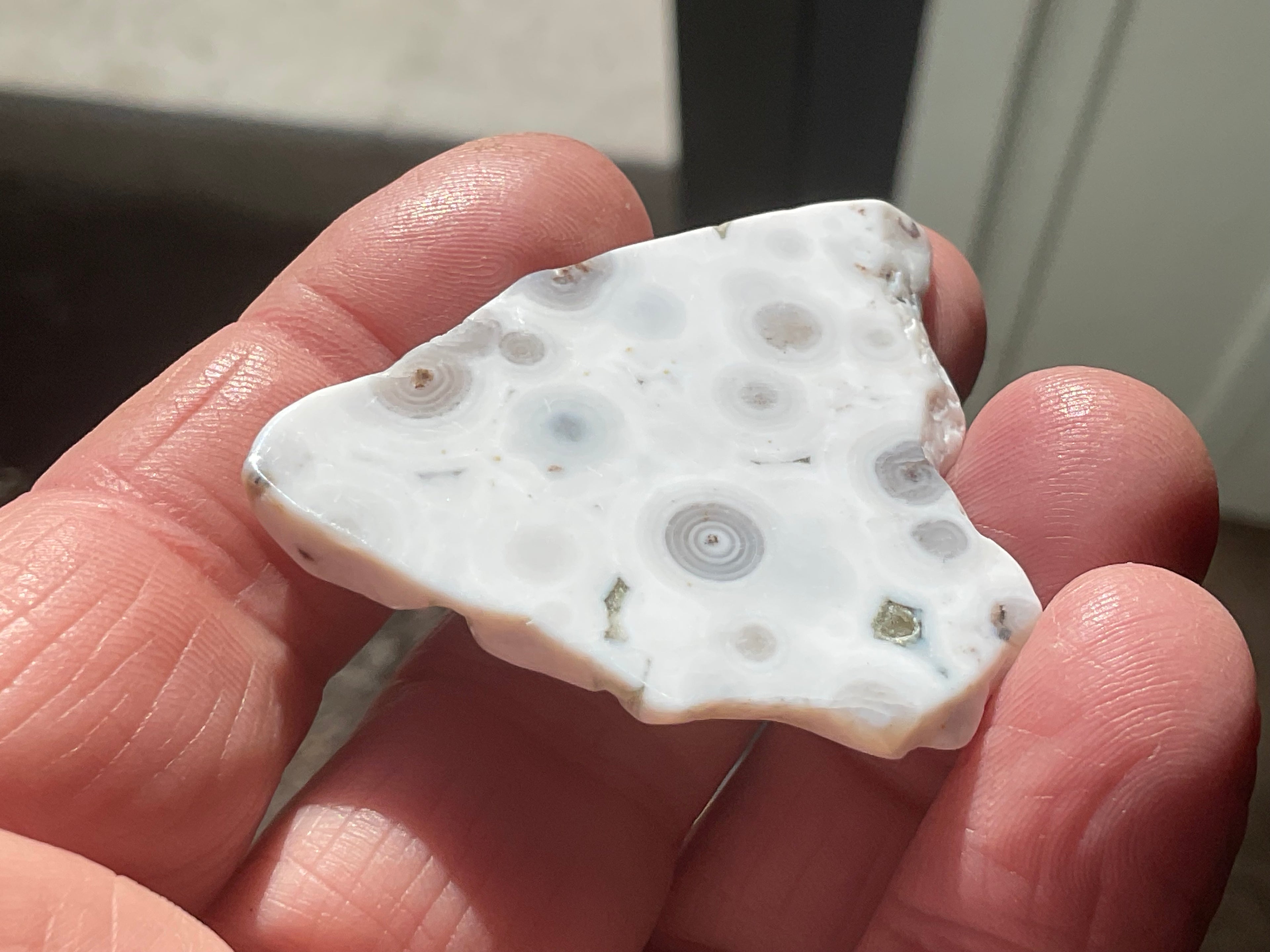 12g 8th Vein Ocean Jasper Polished Piece 2A