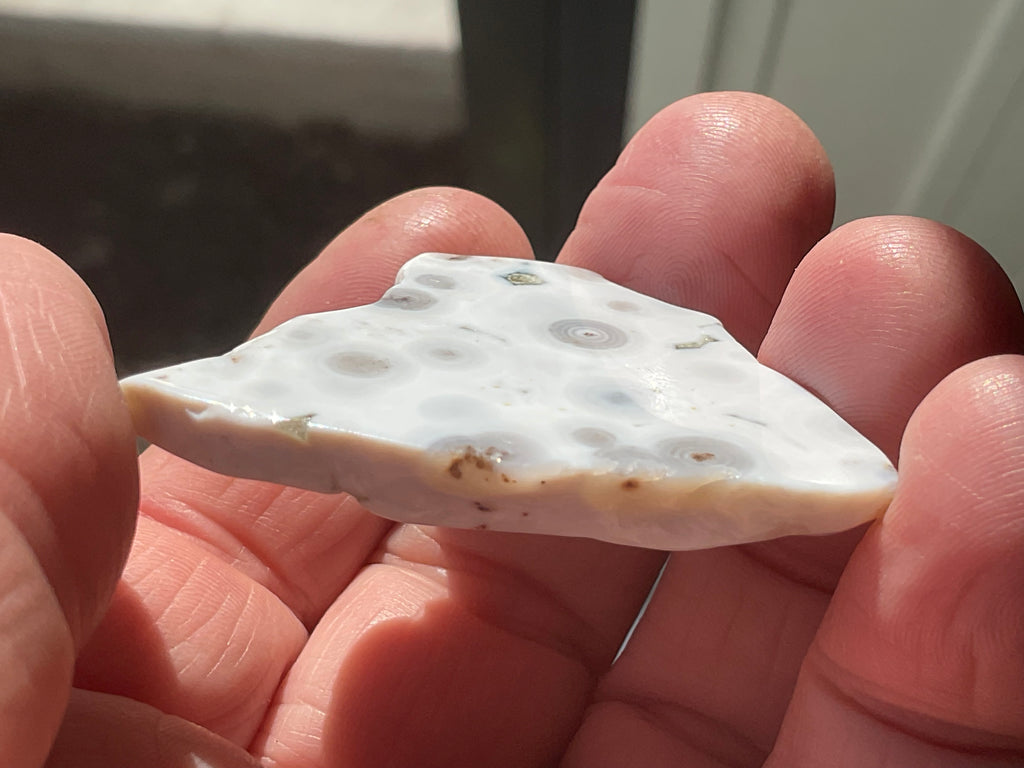 12g 8th Vein Ocean Jasper Polished Piece 2A