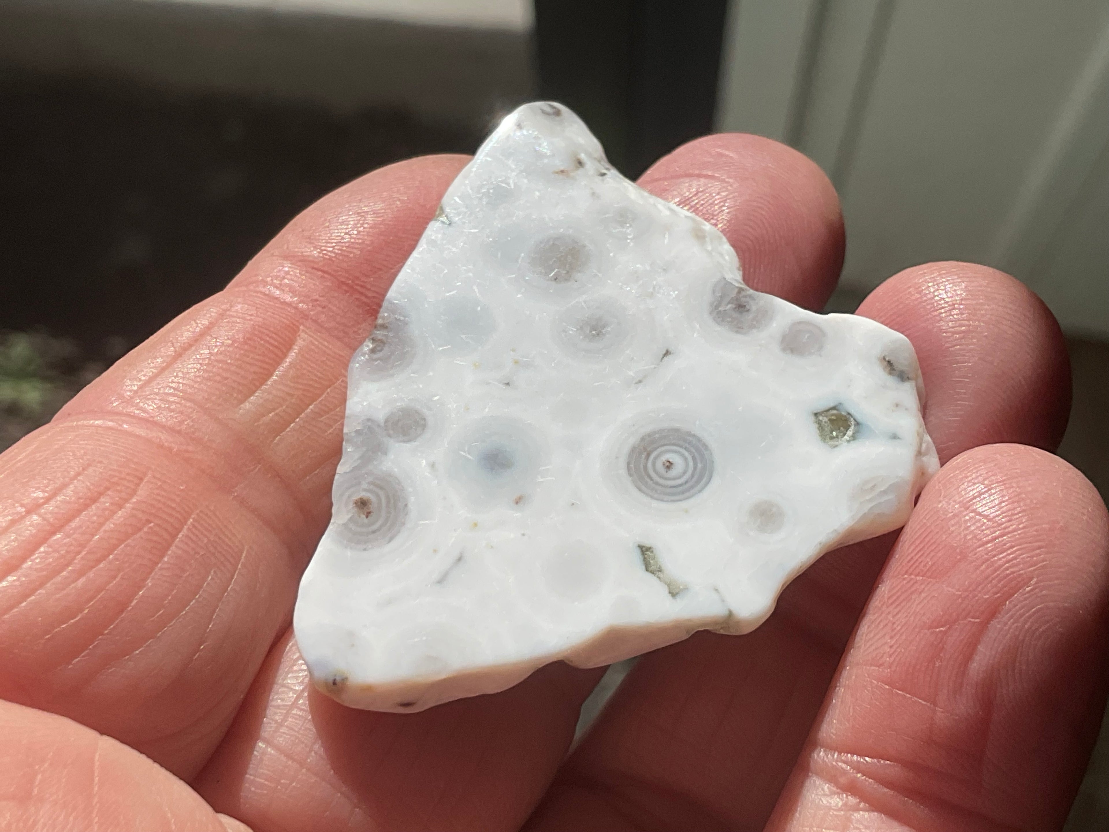 12g 8th Vein Ocean Jasper Polished Piece 2A