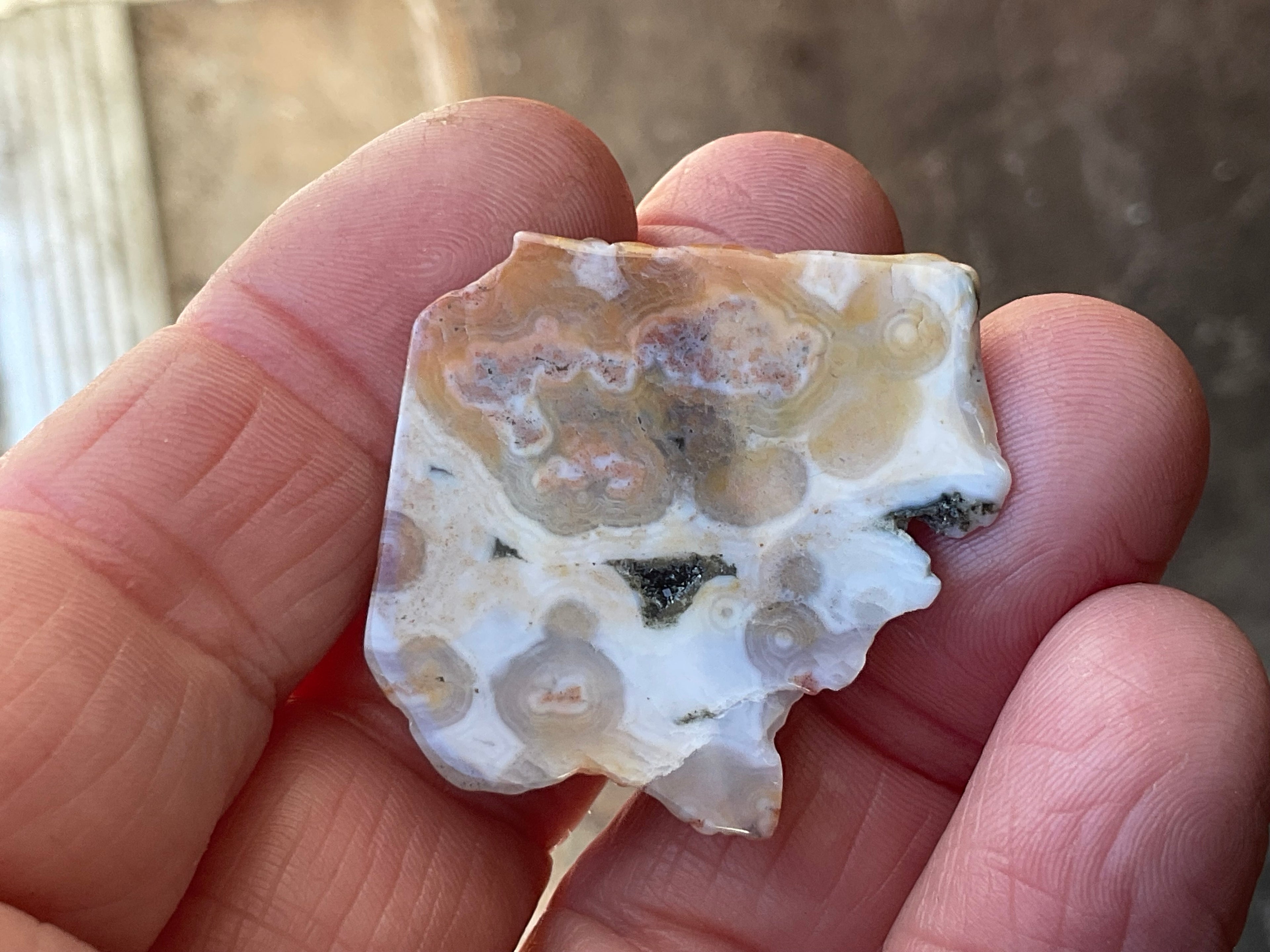 12g 8th Vein Ocean Jasper Polished Piece 2B