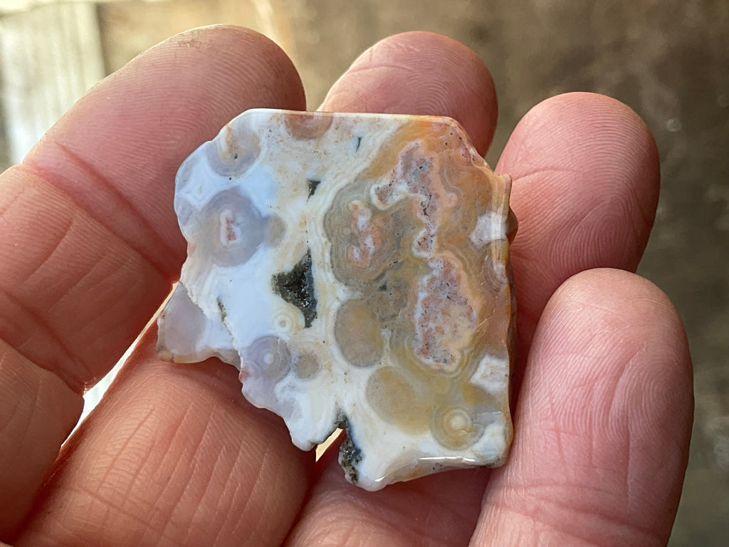 12g 8th Vein Ocean Jasper Polished Piece 2B