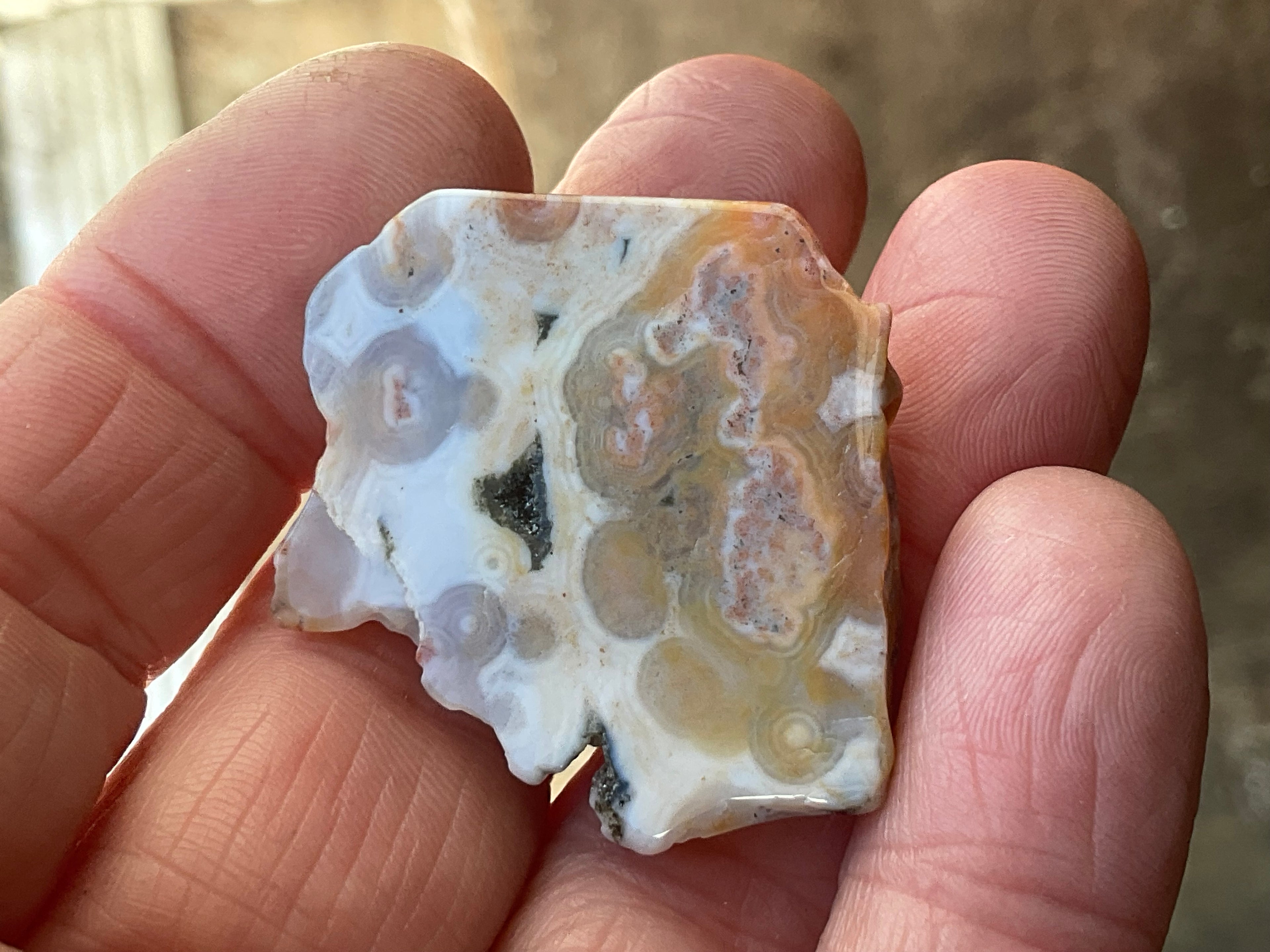 12g 8th Vein Ocean Jasper Polished Piece 2B