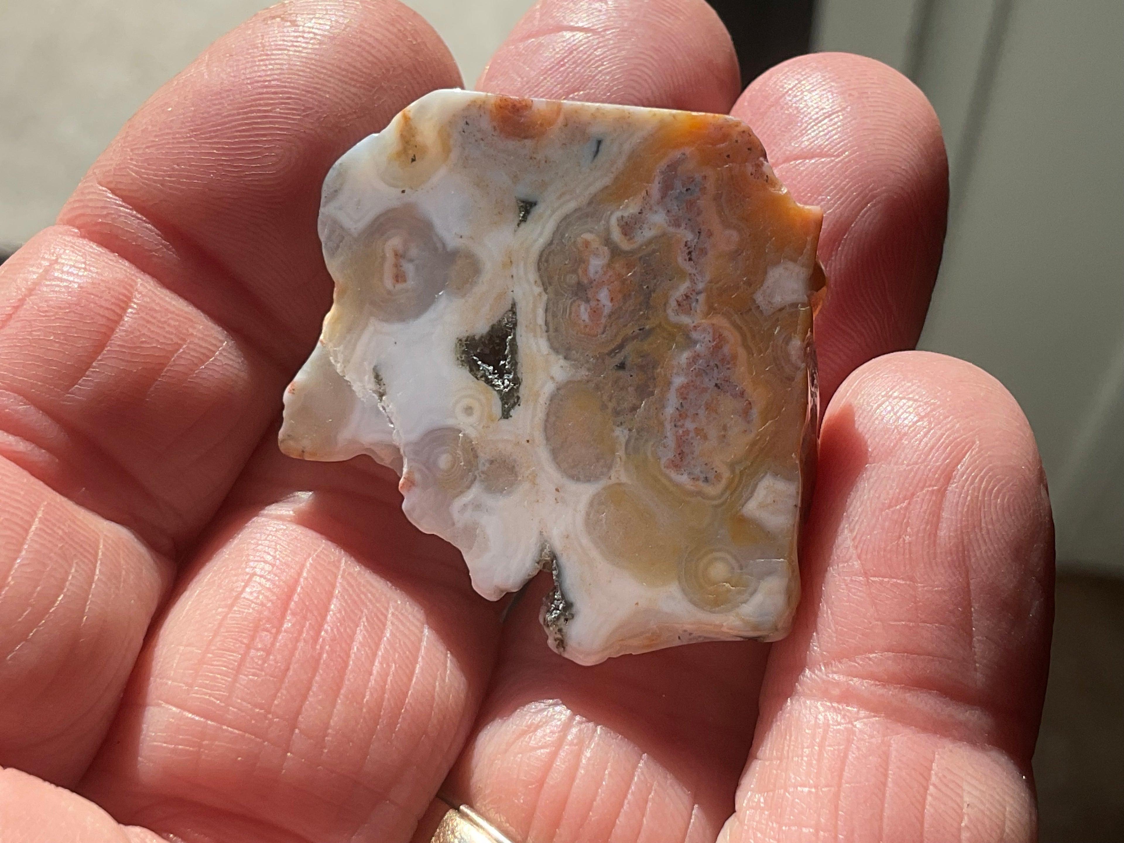 12g 8th Vein Ocean Jasper Polished Piece 2B