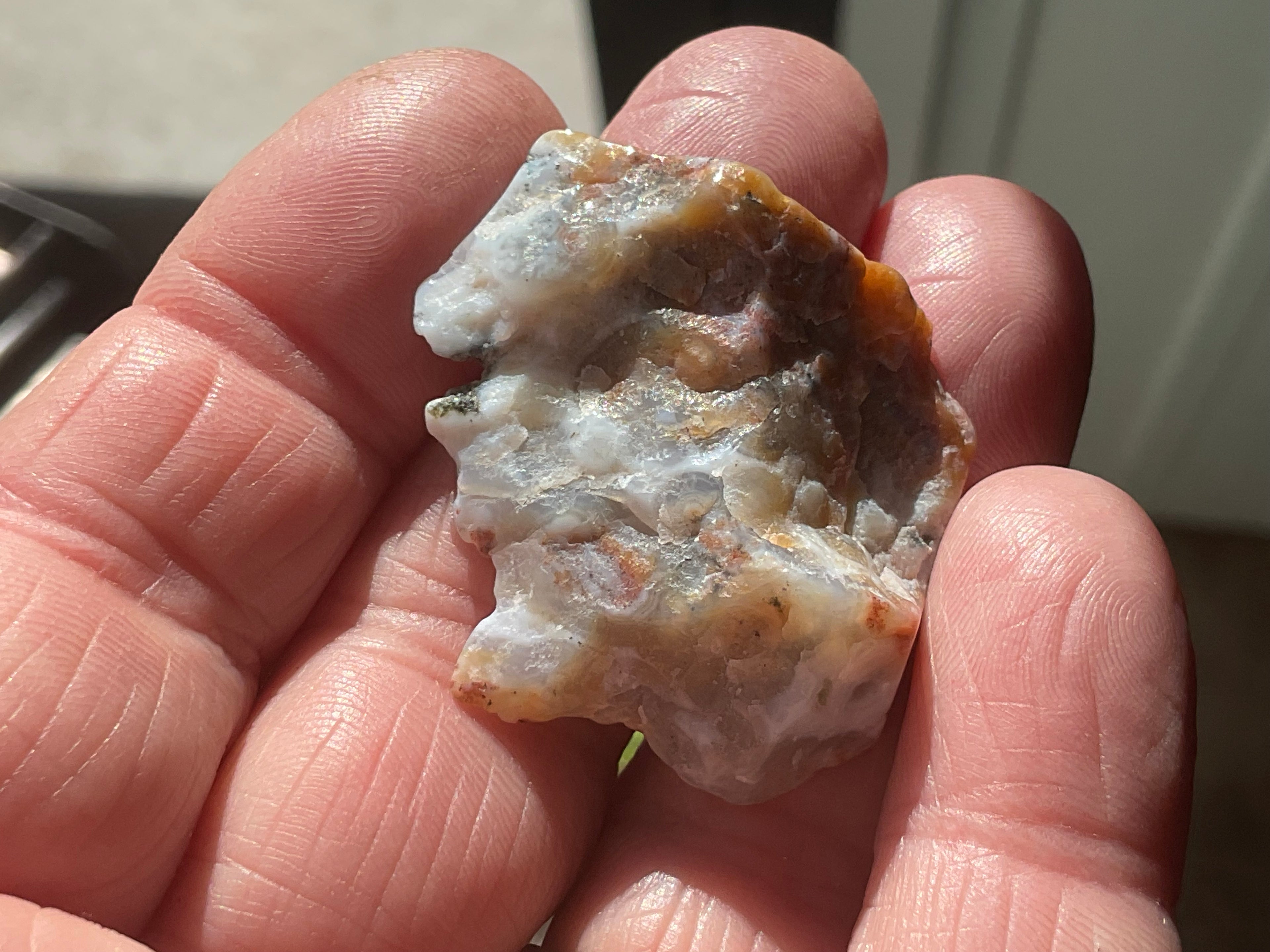12g 8th Vein Ocean Jasper Polished Piece 2B