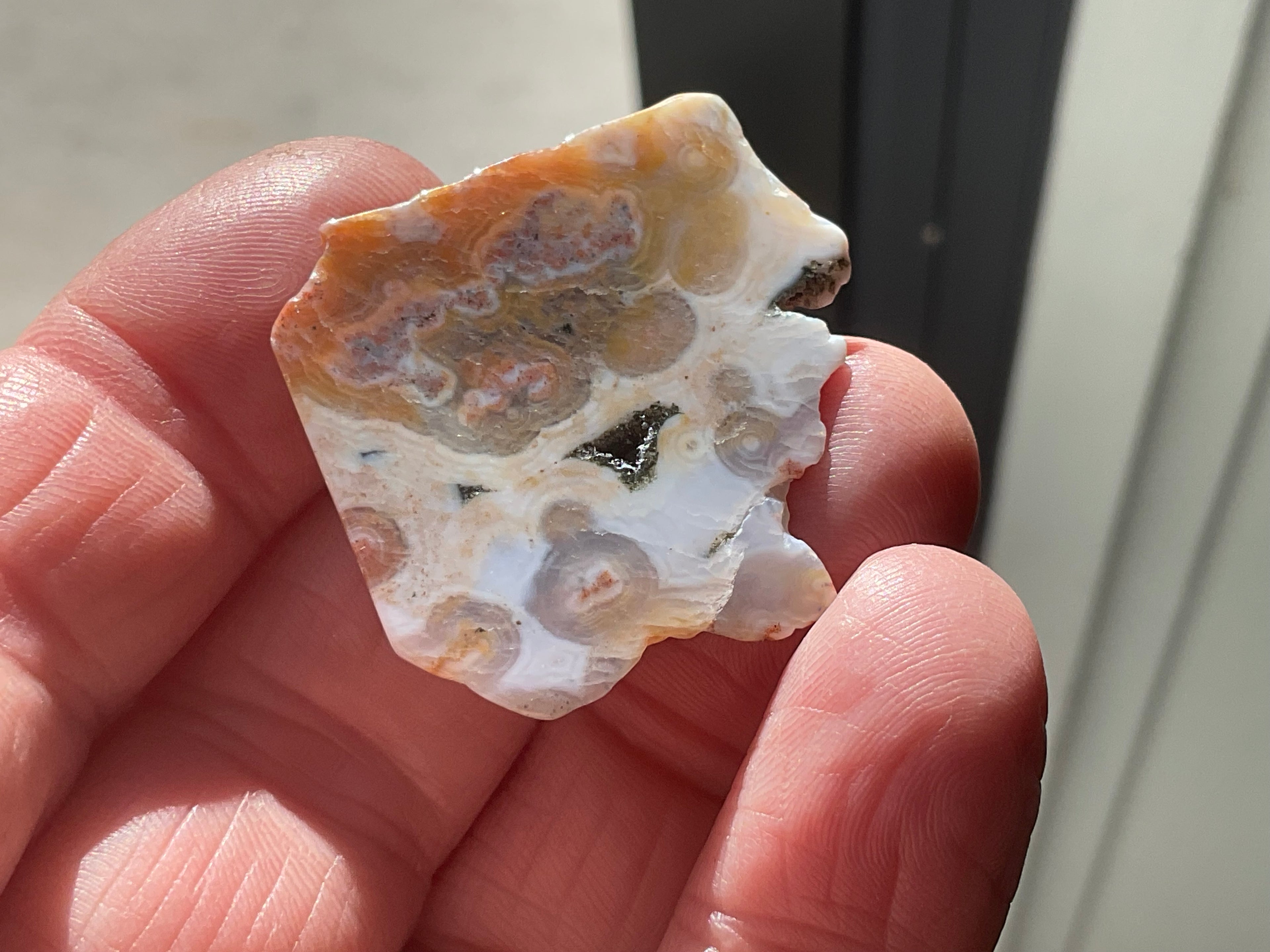 12g 8th Vein Ocean Jasper Polished Piece 2B