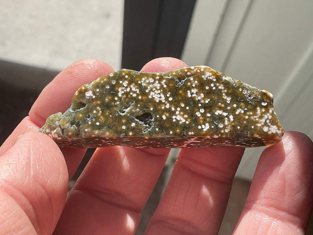 20g 8th Vein Ocean Jasper Polished Piece 3A