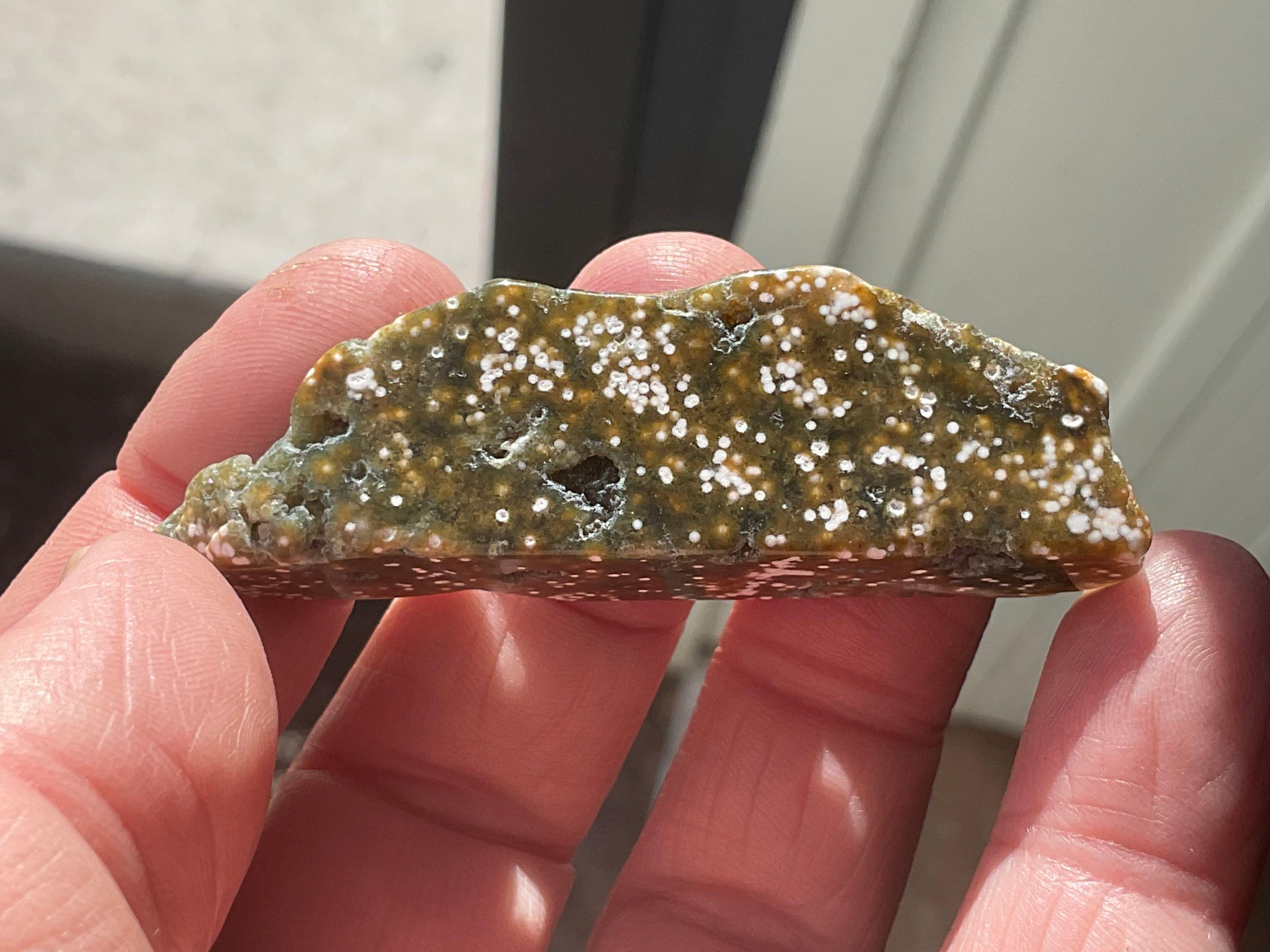 20g 8th Vein Ocean Jasper Polished Piece 3A