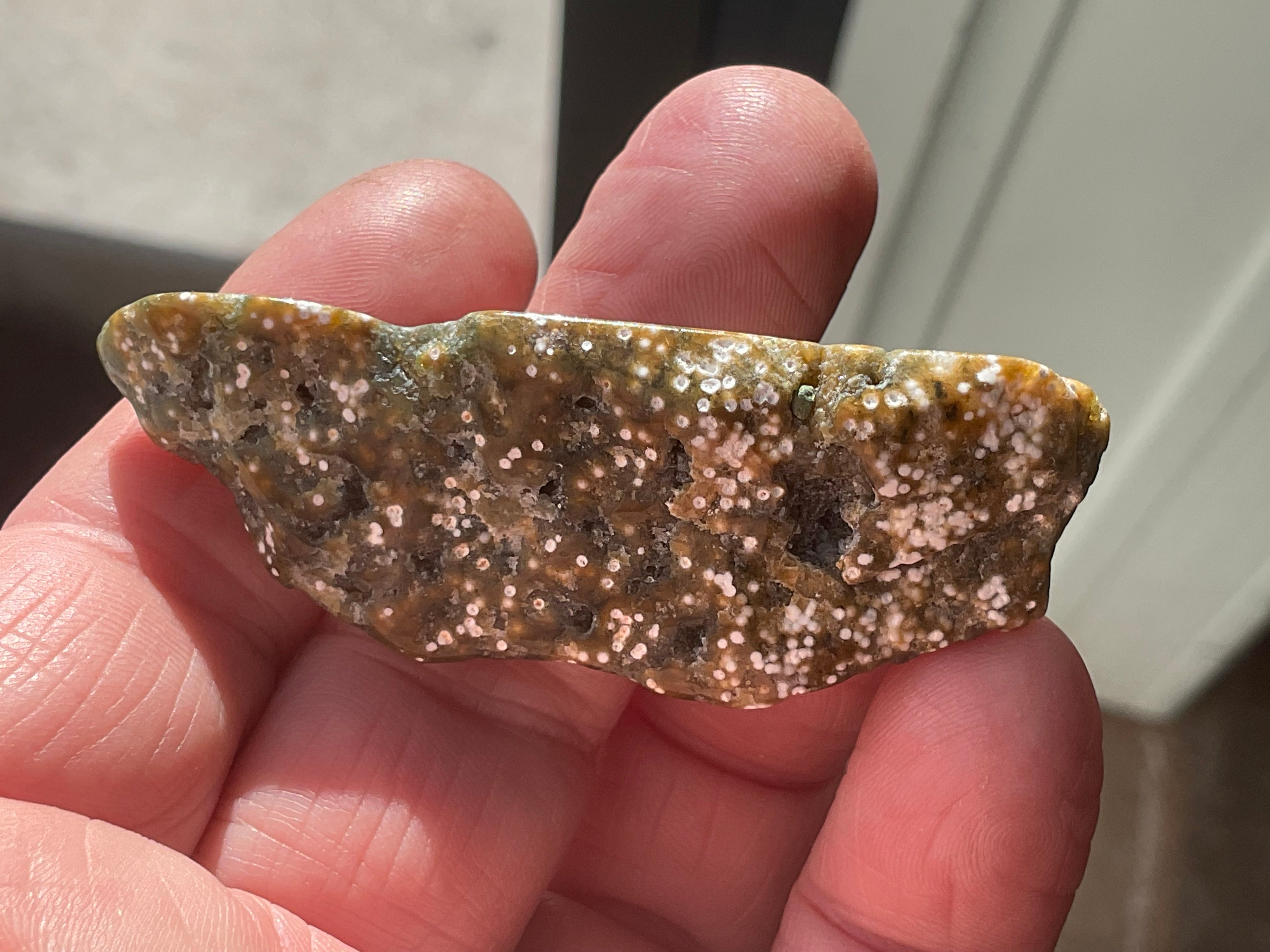 20g 8th Vein Ocean Jasper Polished Piece 3A