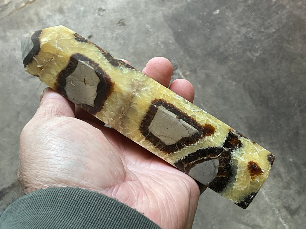 462g Large Madagascan Septarian Generator 2A