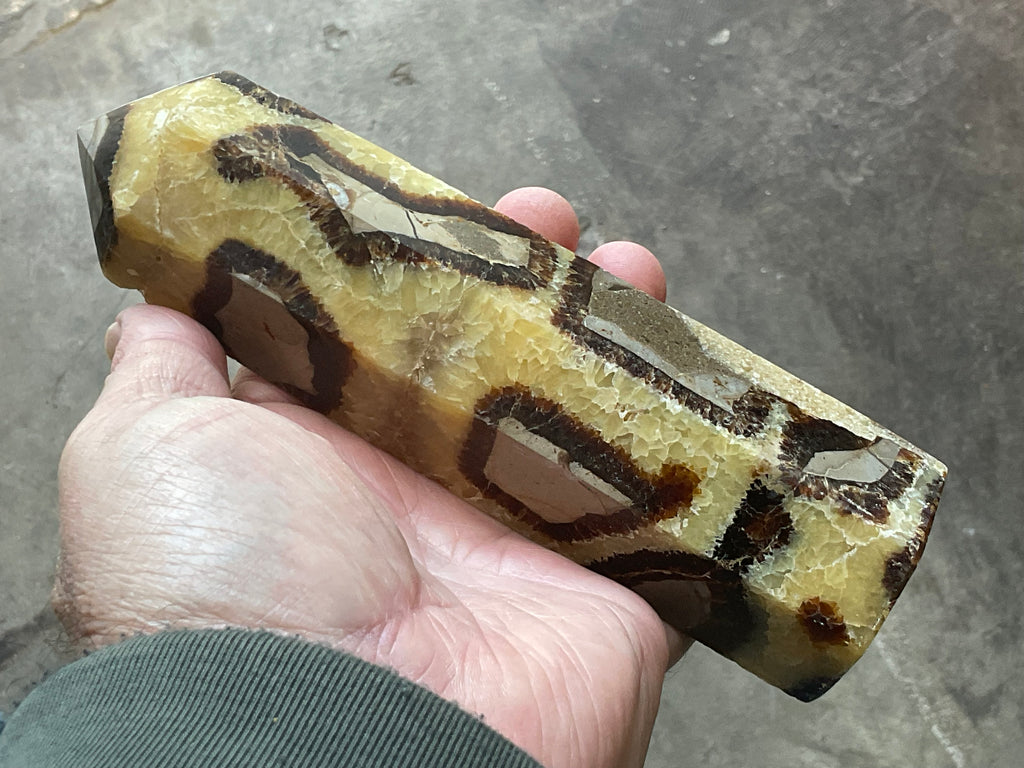 462g Large Madagascan Septarian Generator 2A