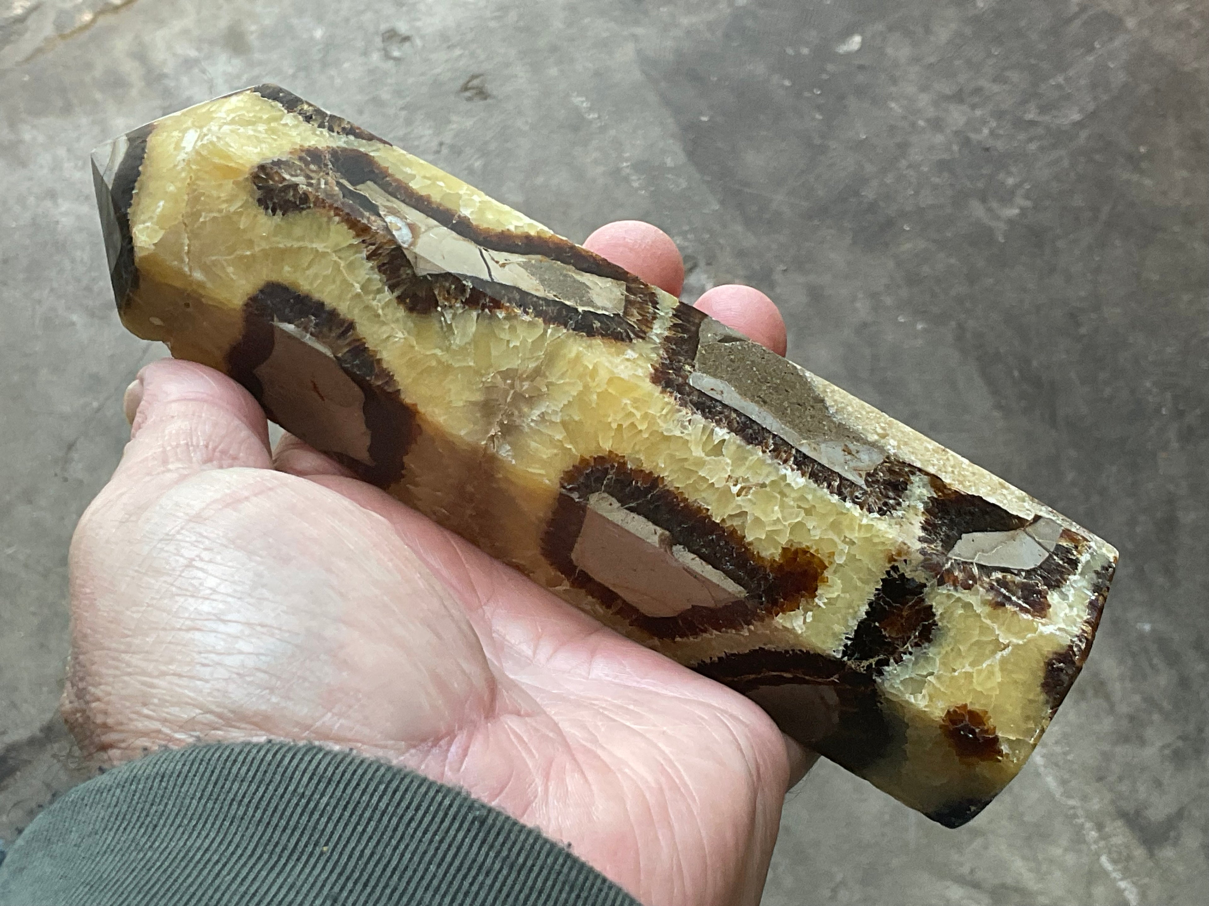 462g Large Madagascan Septarian Generator 2A
