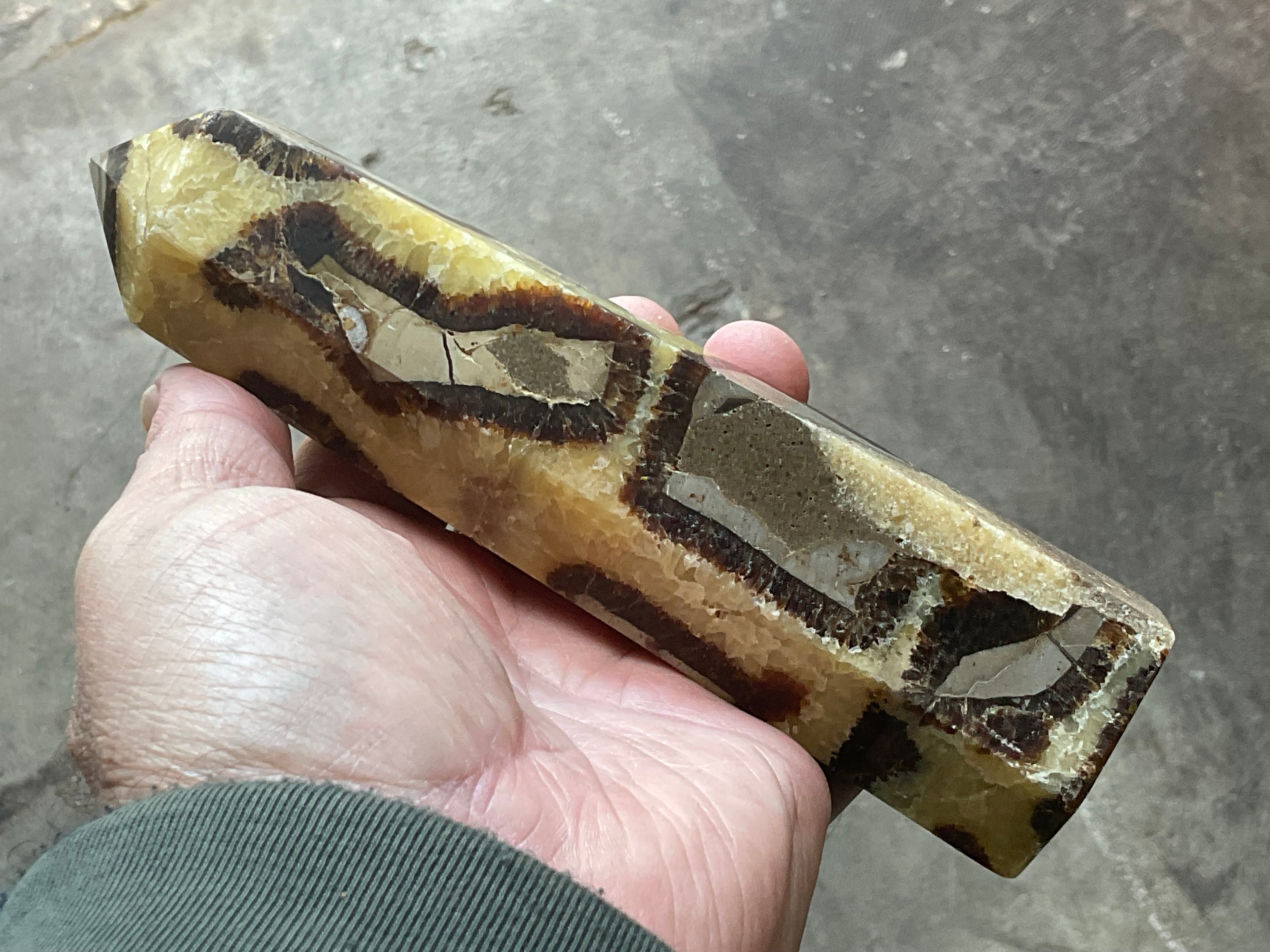 462g Large Madagascan Septarian Generator 2A