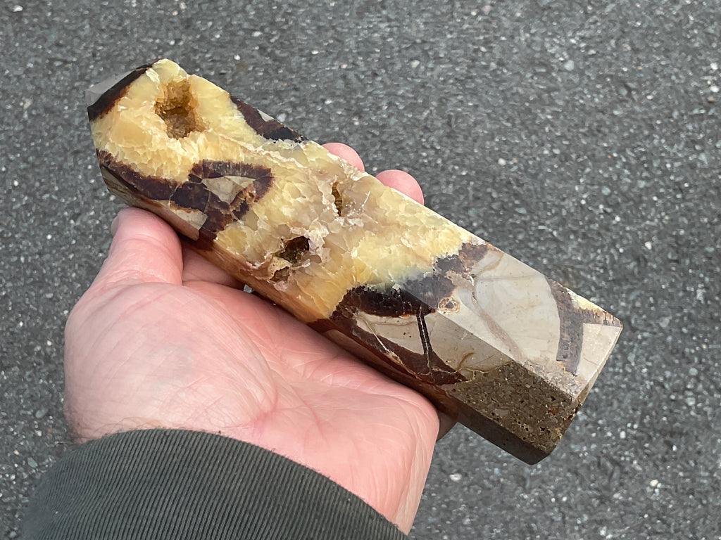 462g Large Madagascan Septarian Generator 2A