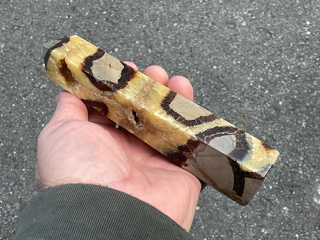 462g Large Madagascan Septarian Generator 2A