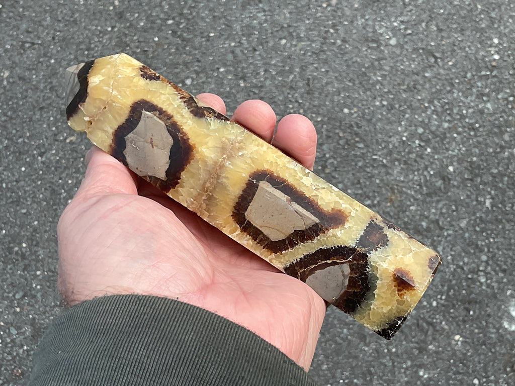 462g Large Madagascan Septarian Generator 2A