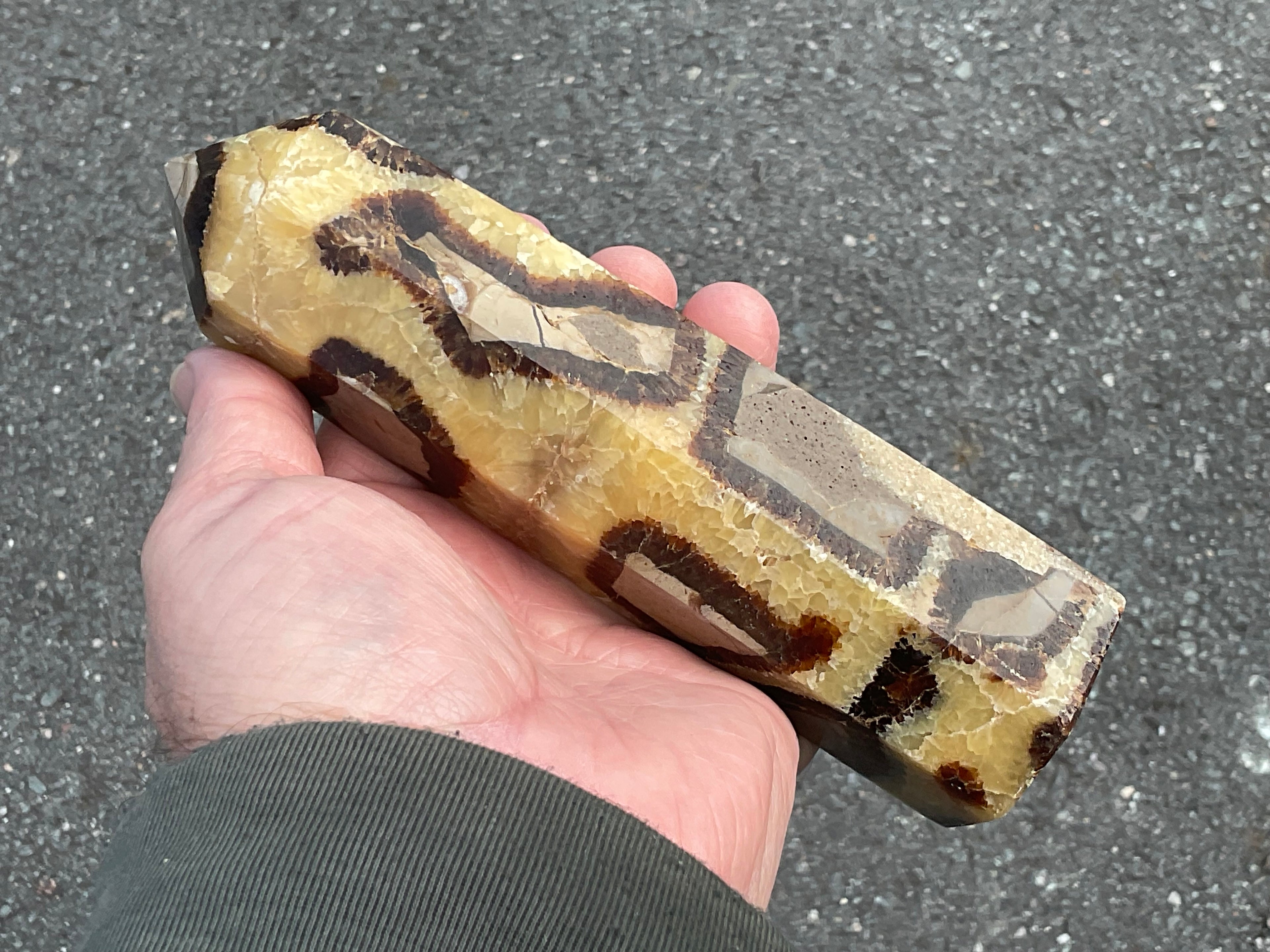 462g Large Madagascan Septarian Generator 2A
