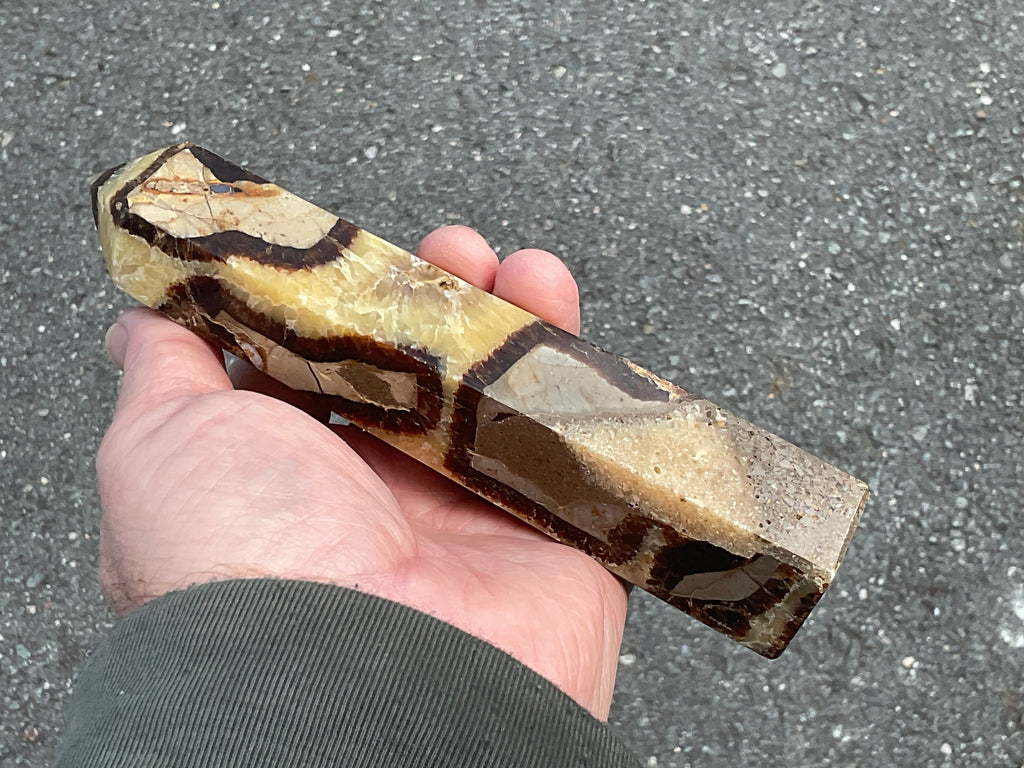 462g Large Madagascan Septarian Generator 2A