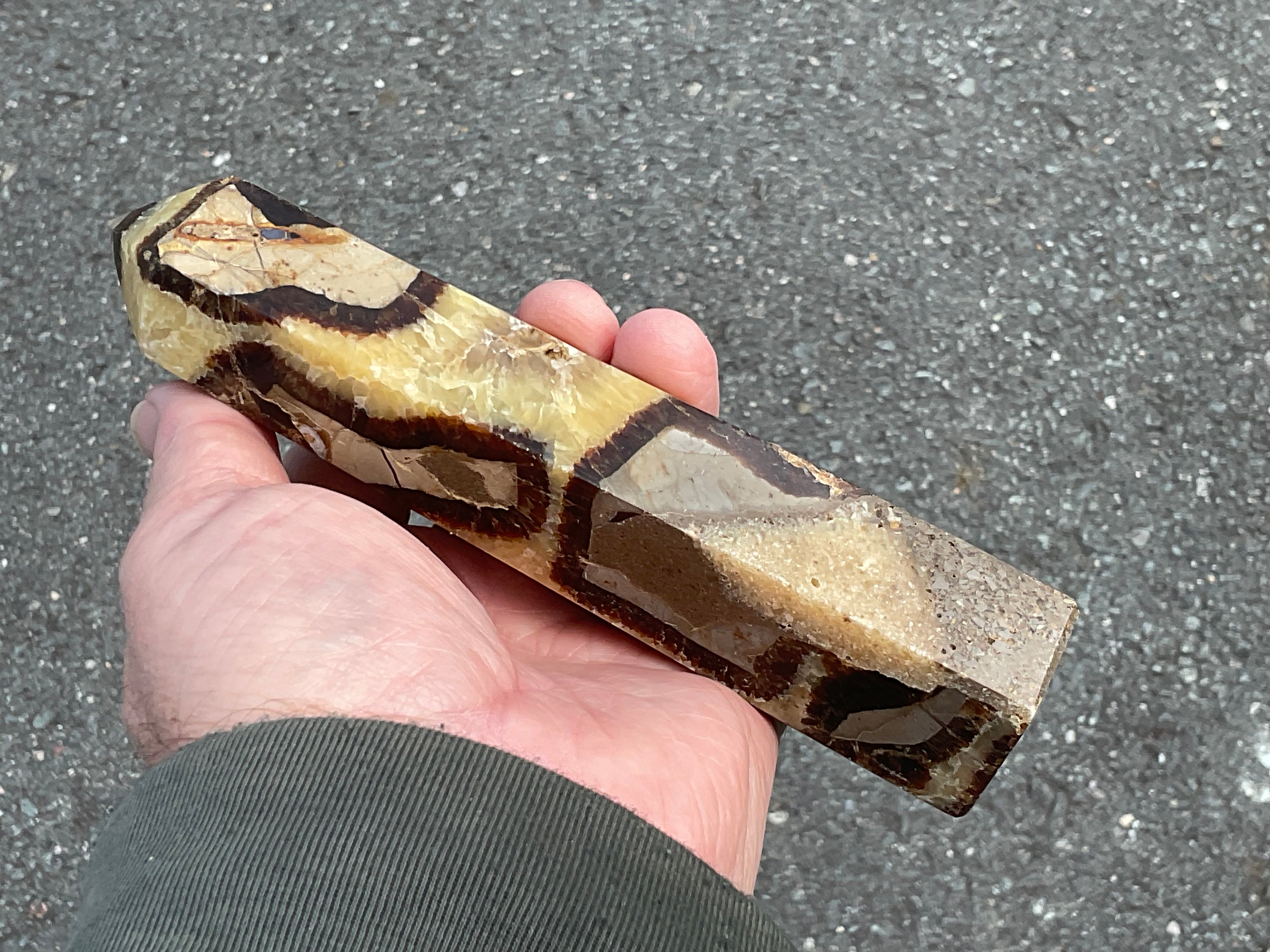 462g Large Madagascan Septarian Generator 2A