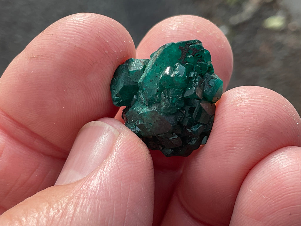 RESERVED FOR ASHRA ** 4g Congolese Dioptase Specimen A