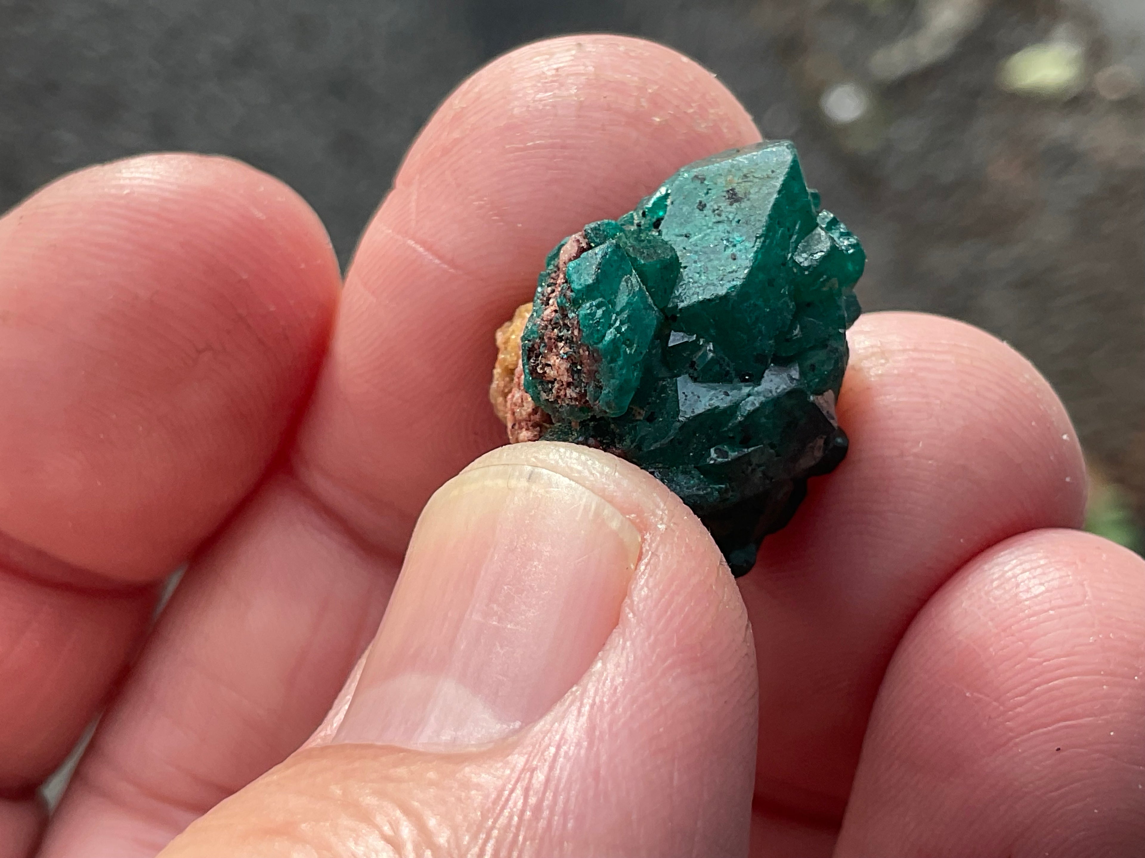 RESERVED FOR ASHRA ** 4g Congolese Dioptase Specimen A