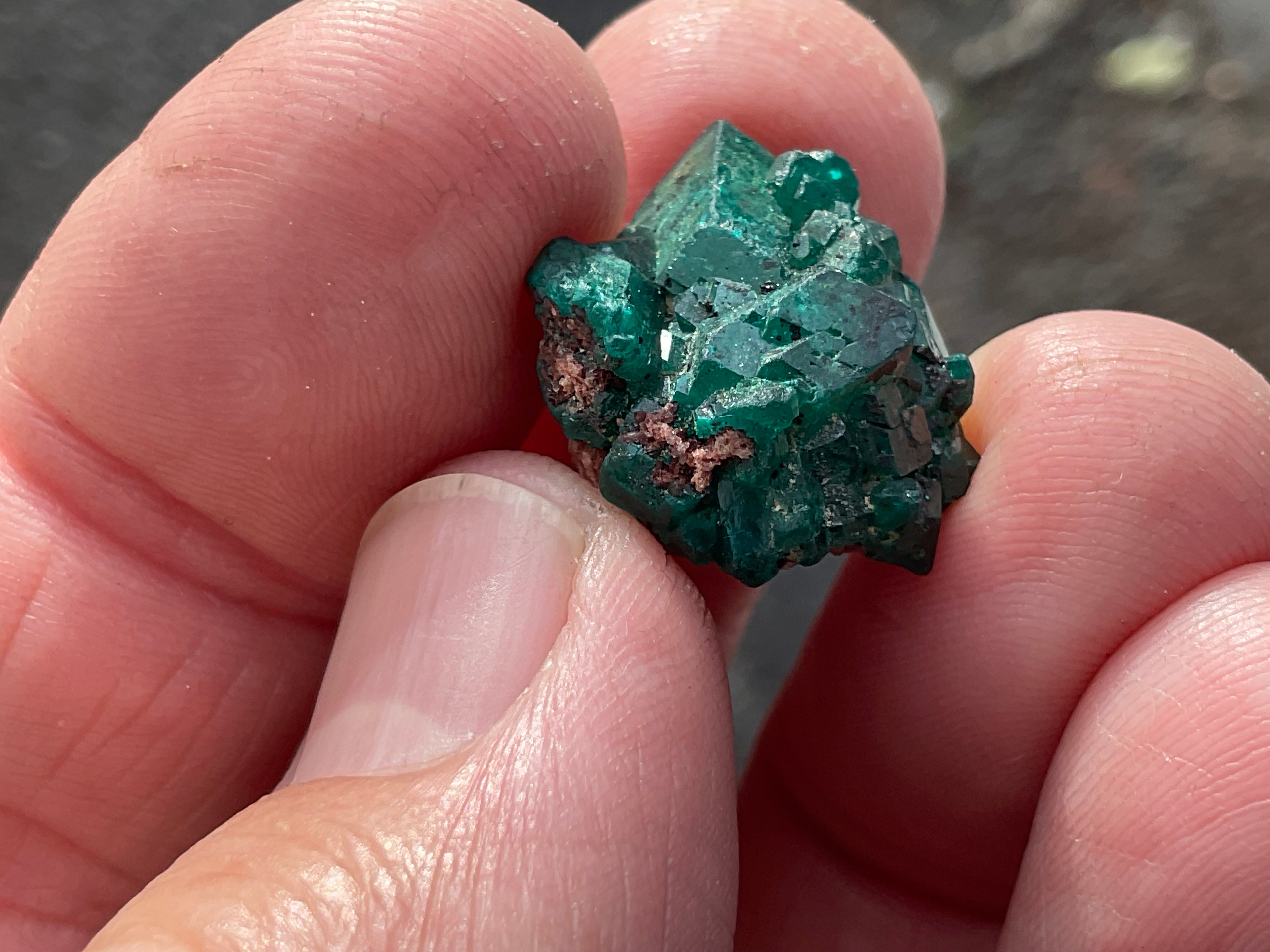 RESERVED FOR ASHRA ** 4g Congolese Dioptase Specimen A