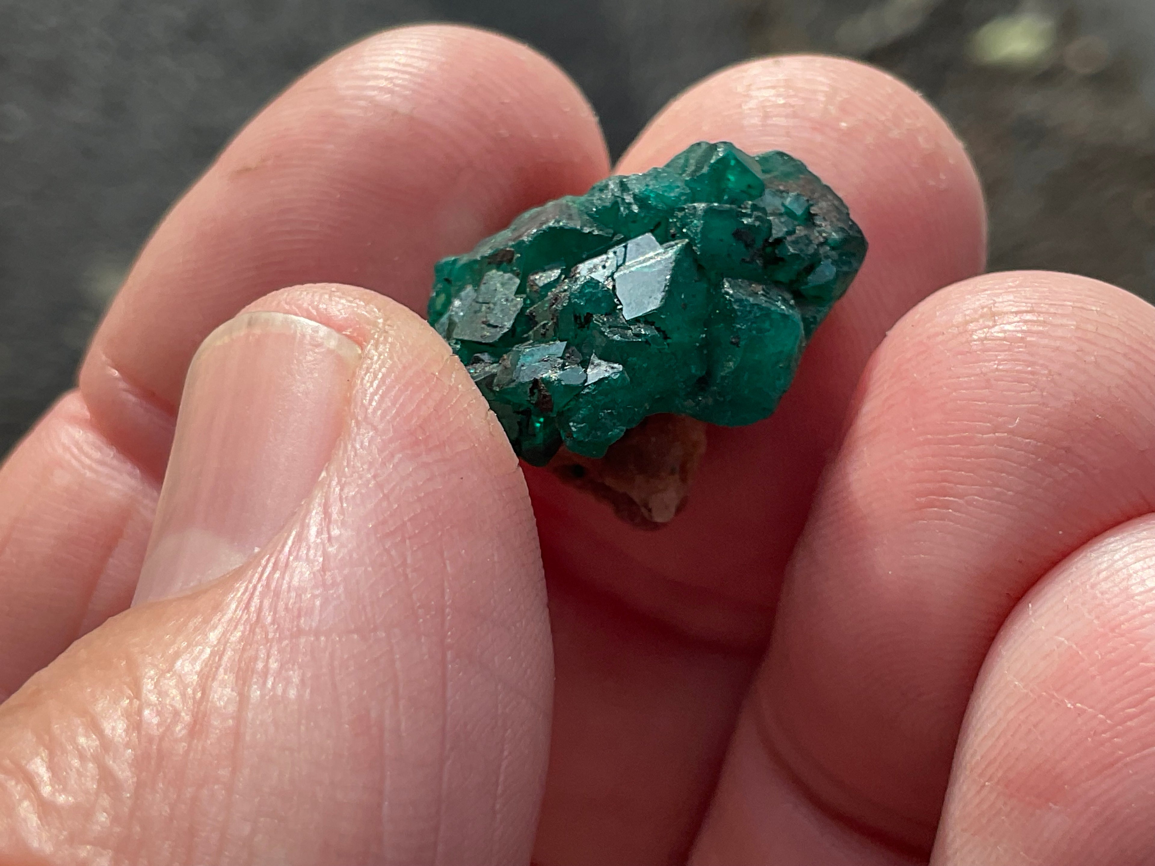 RESERVED FOR ASHRA ** 4g Congolese Dioptase Specimen A