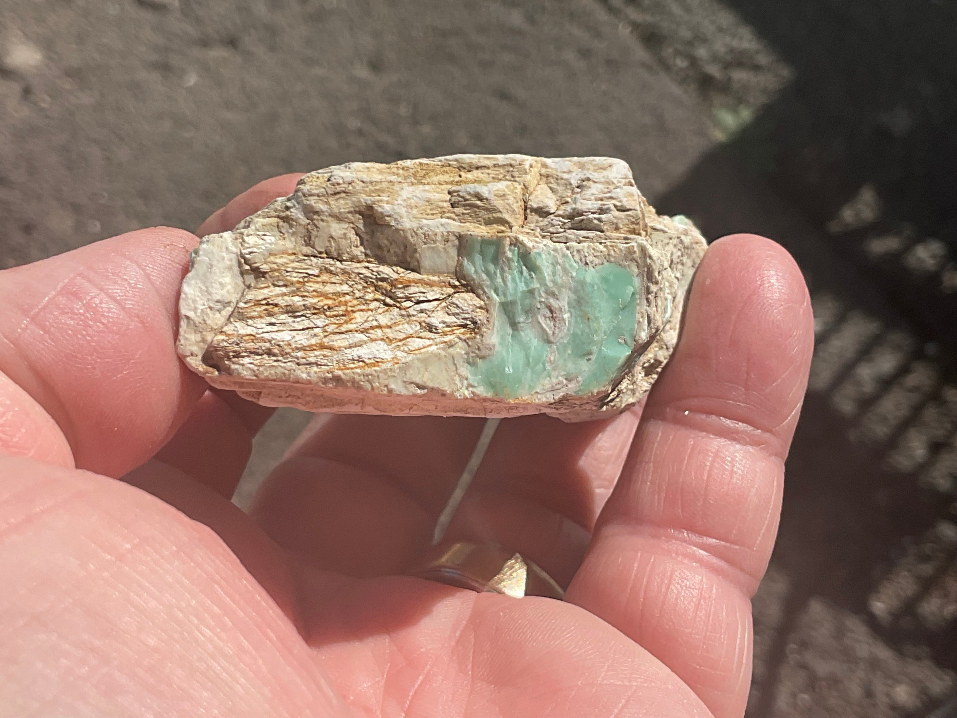90g Rough Western Australian Variscite Specimen 1B