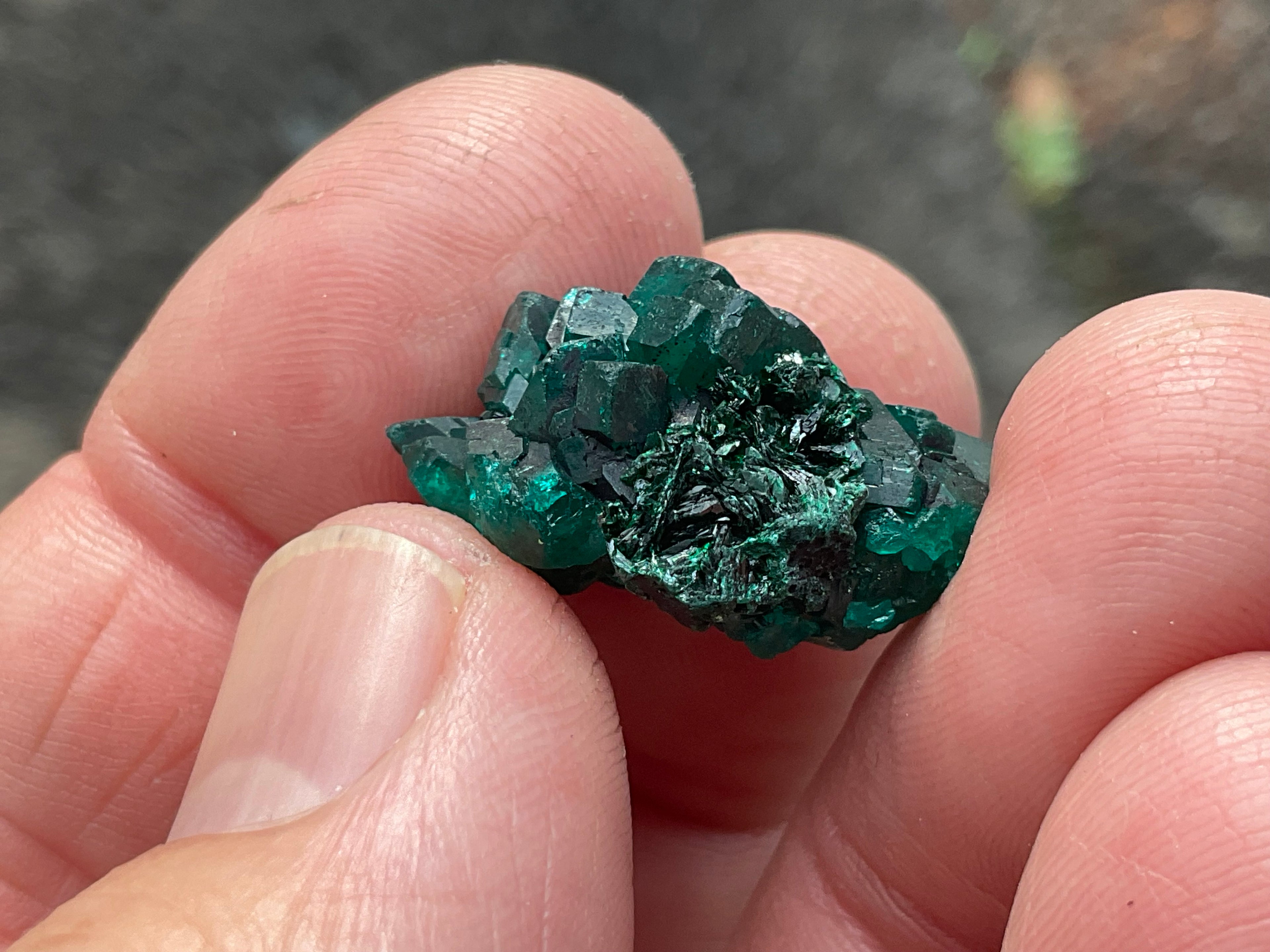 RESERVED FOR ASHRA ** 6g Congolese Dioptase Specimen B