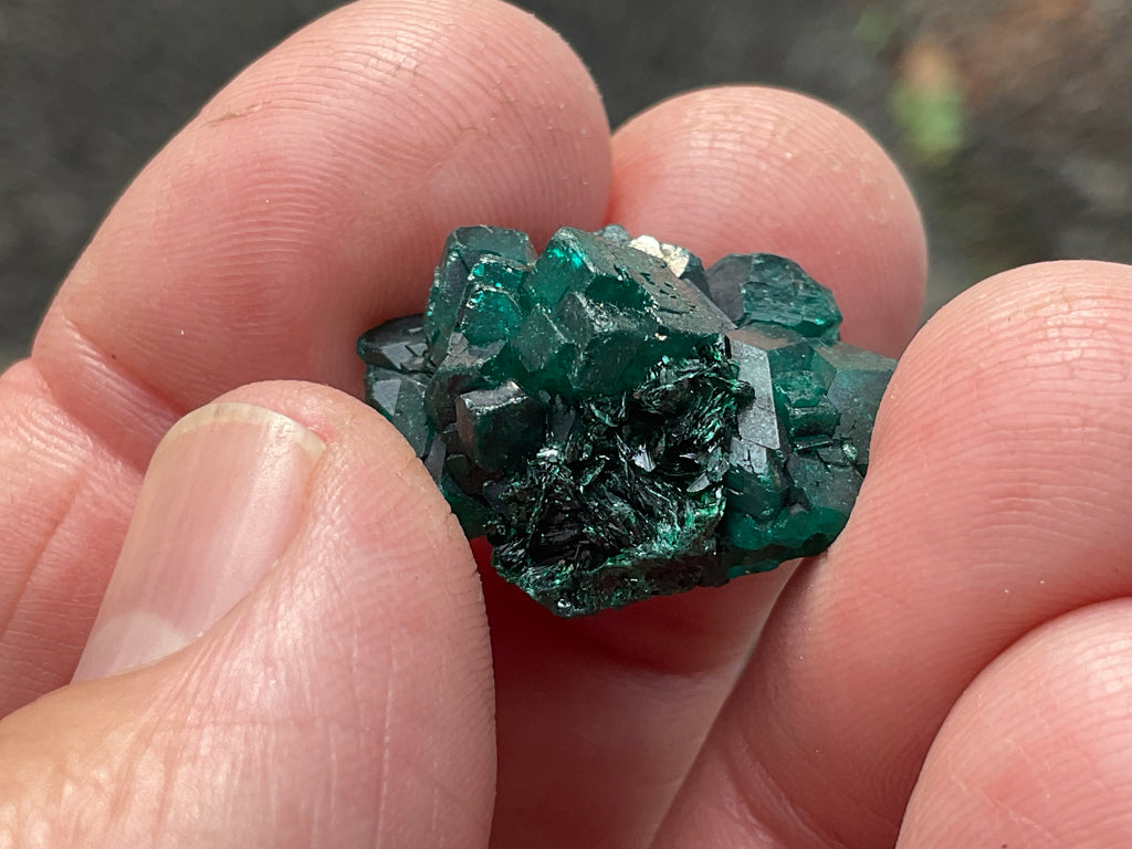 RESERVED FOR ASHRA ** 6g Congolese Dioptase Specimen B