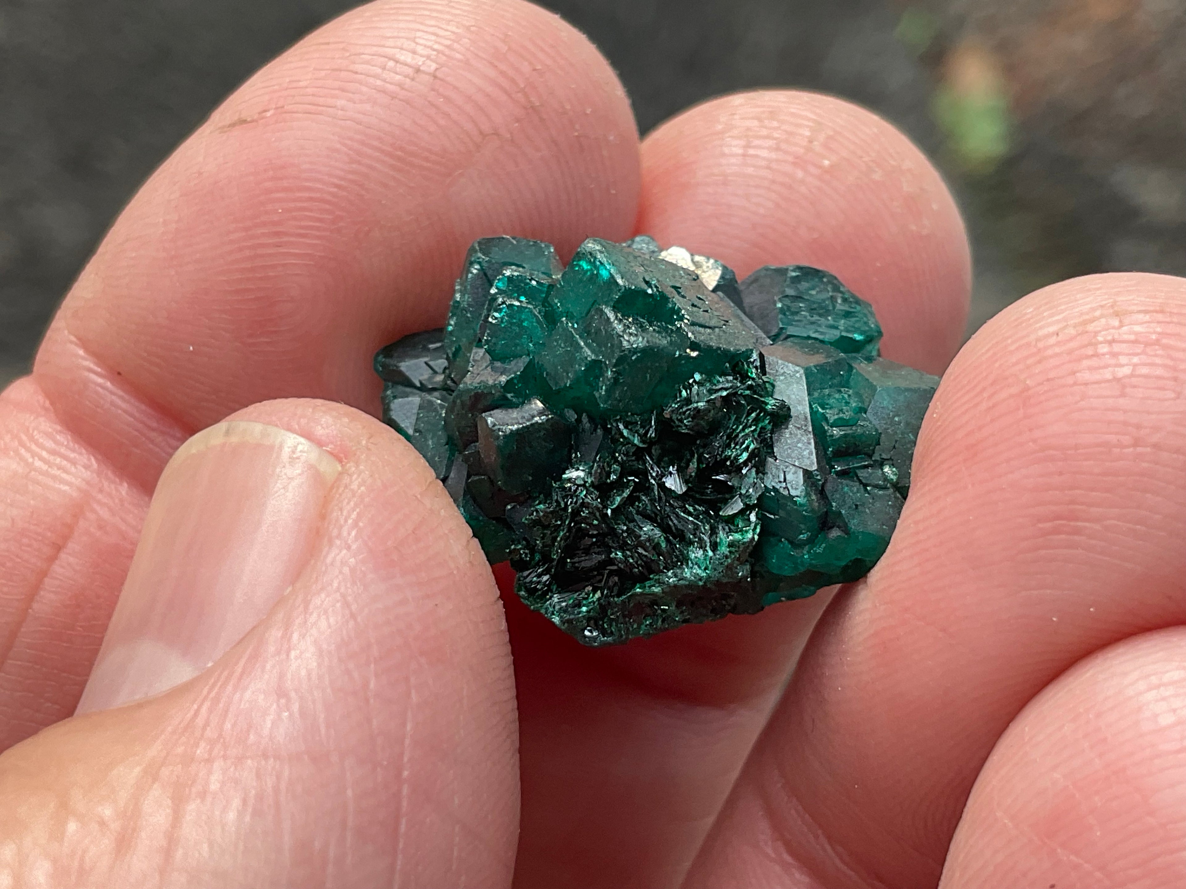 RESERVED FOR ASHRA ** 6g Congolese Dioptase Specimen B