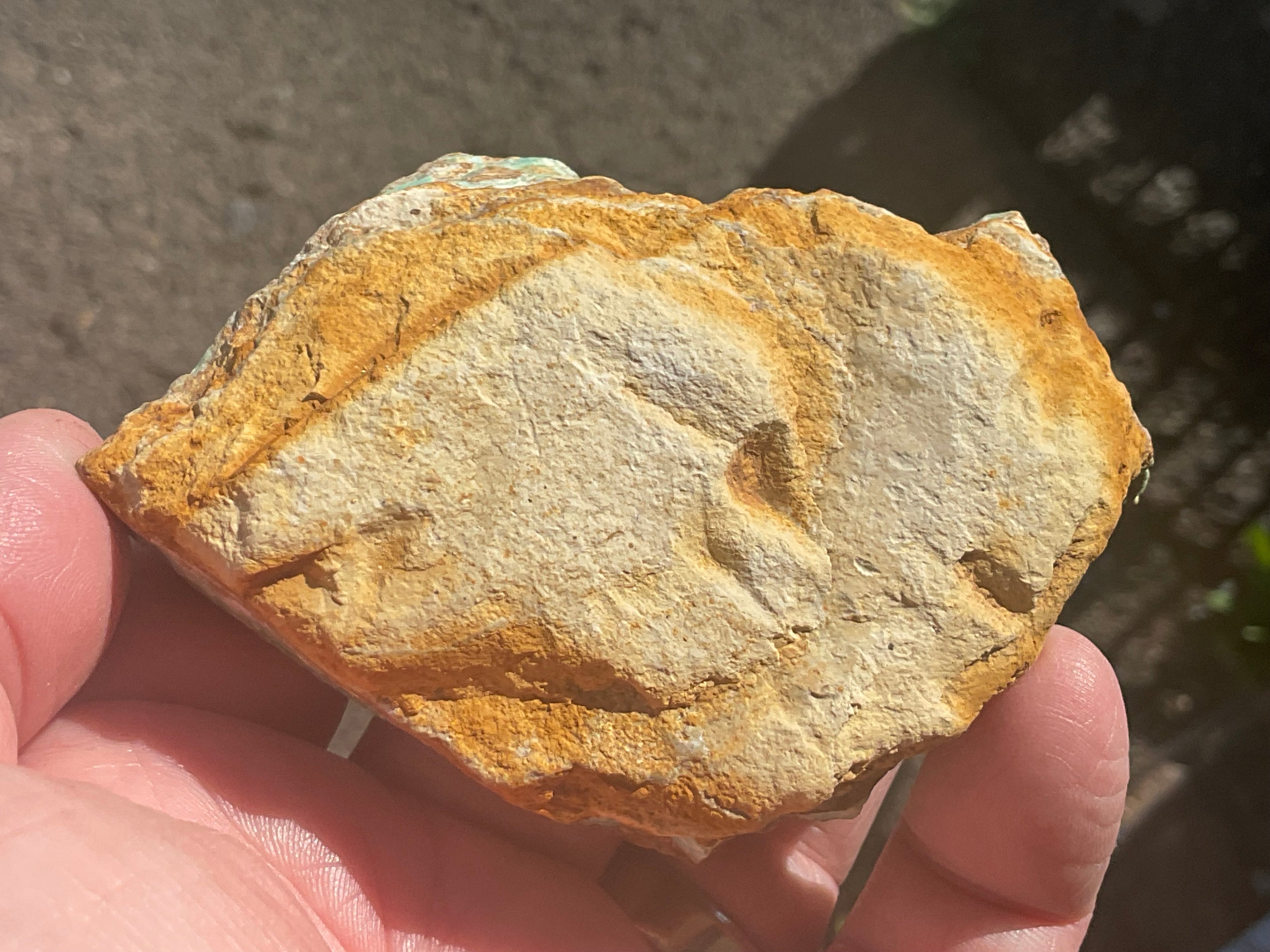 144g Rough Western Australian Variscite Specimen 2A