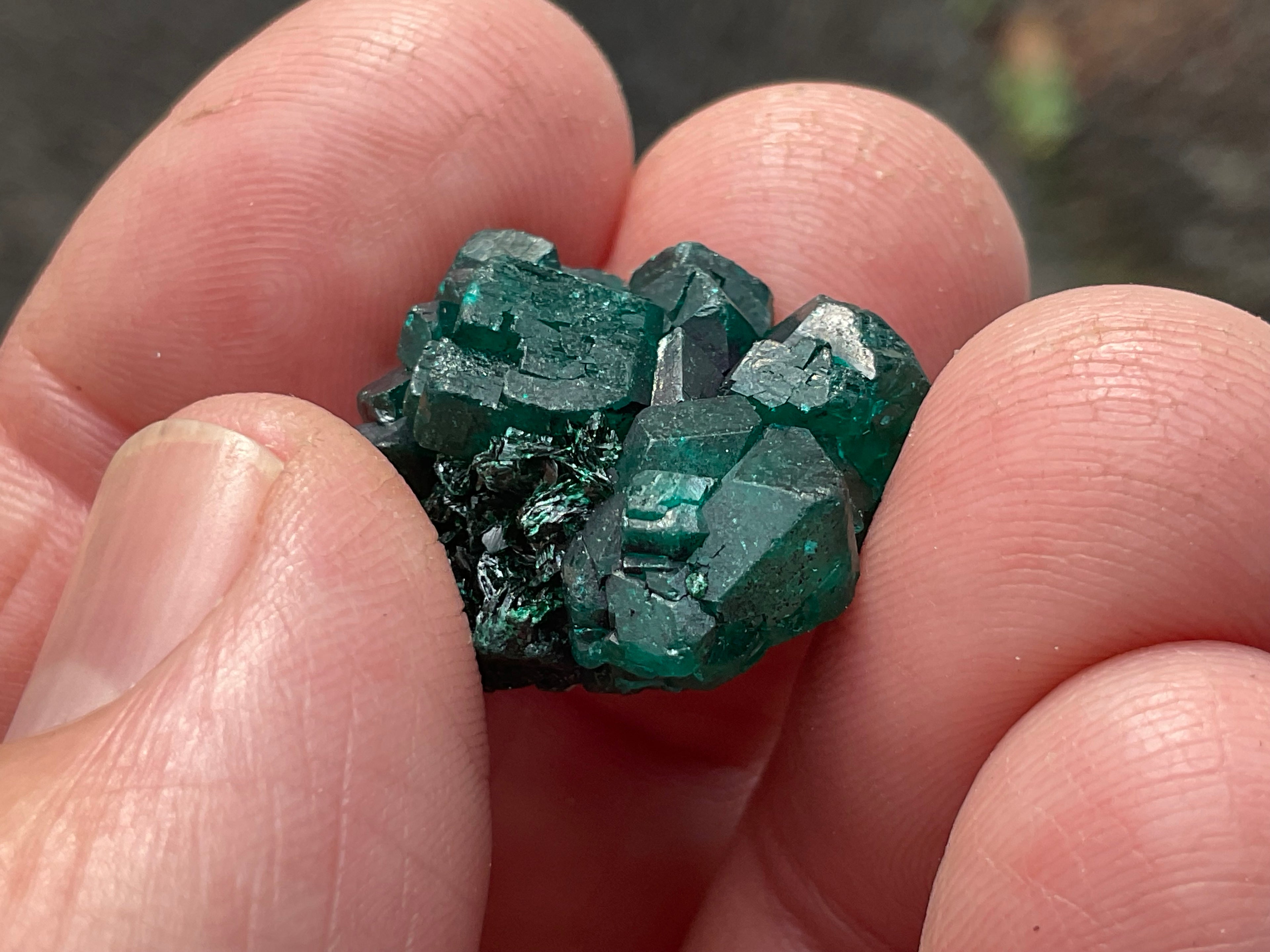 RESERVED FOR ASHRA ** 6g Congolese Dioptase Specimen B