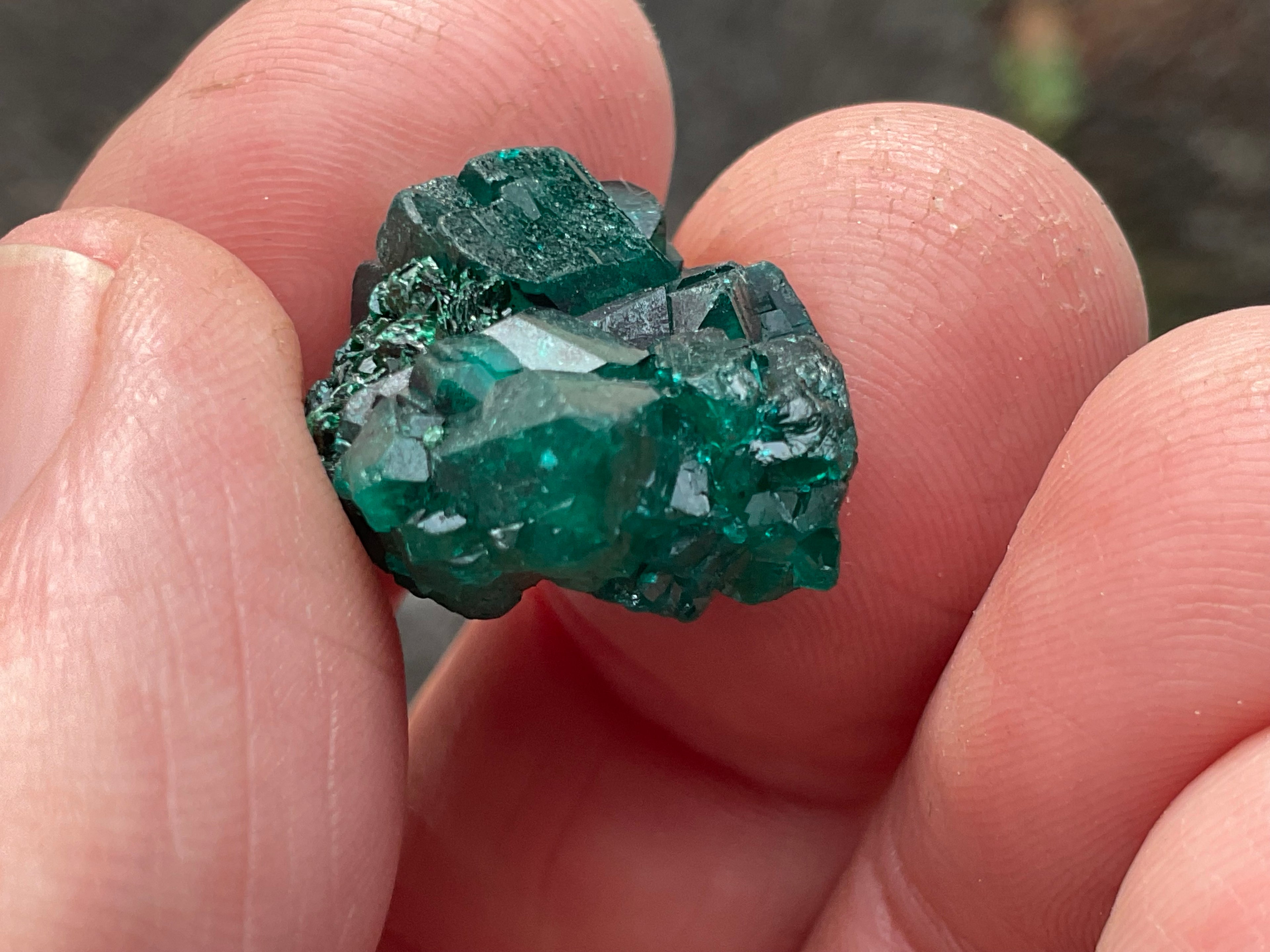 RESERVED FOR ASHRA ** 6g Congolese Dioptase Specimen B