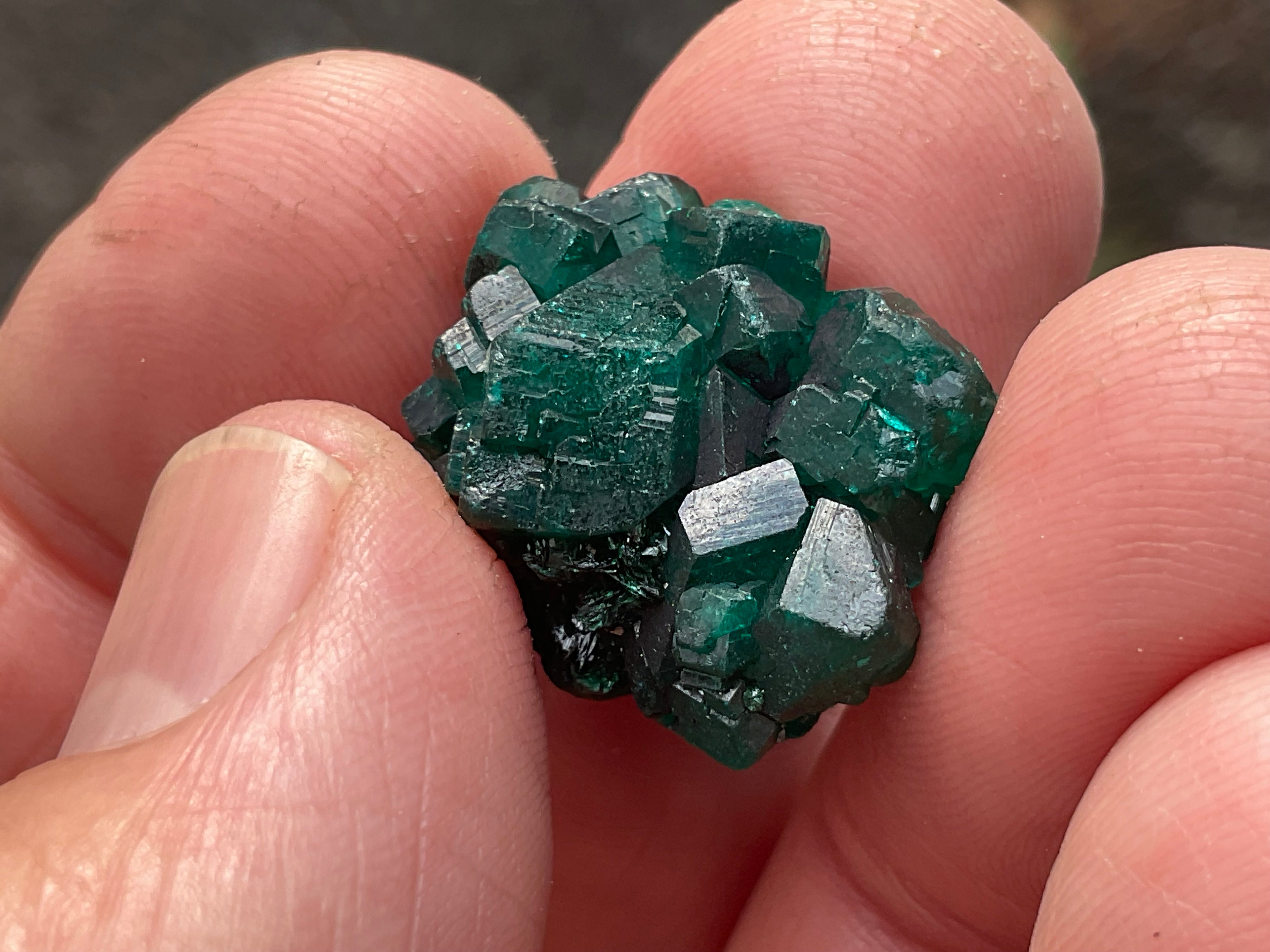 RESERVED FOR ASHRA ** 6g Congolese Dioptase Specimen B