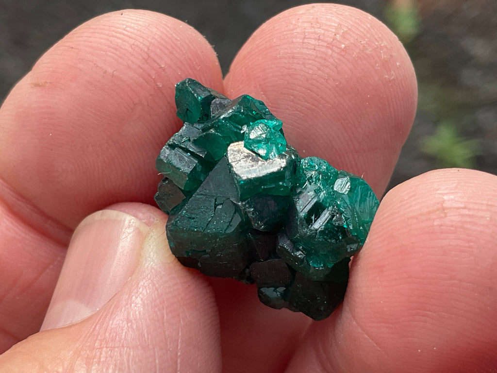 RESERVED FOR ASHRA ** 6g Congolese Dioptase Specimen B