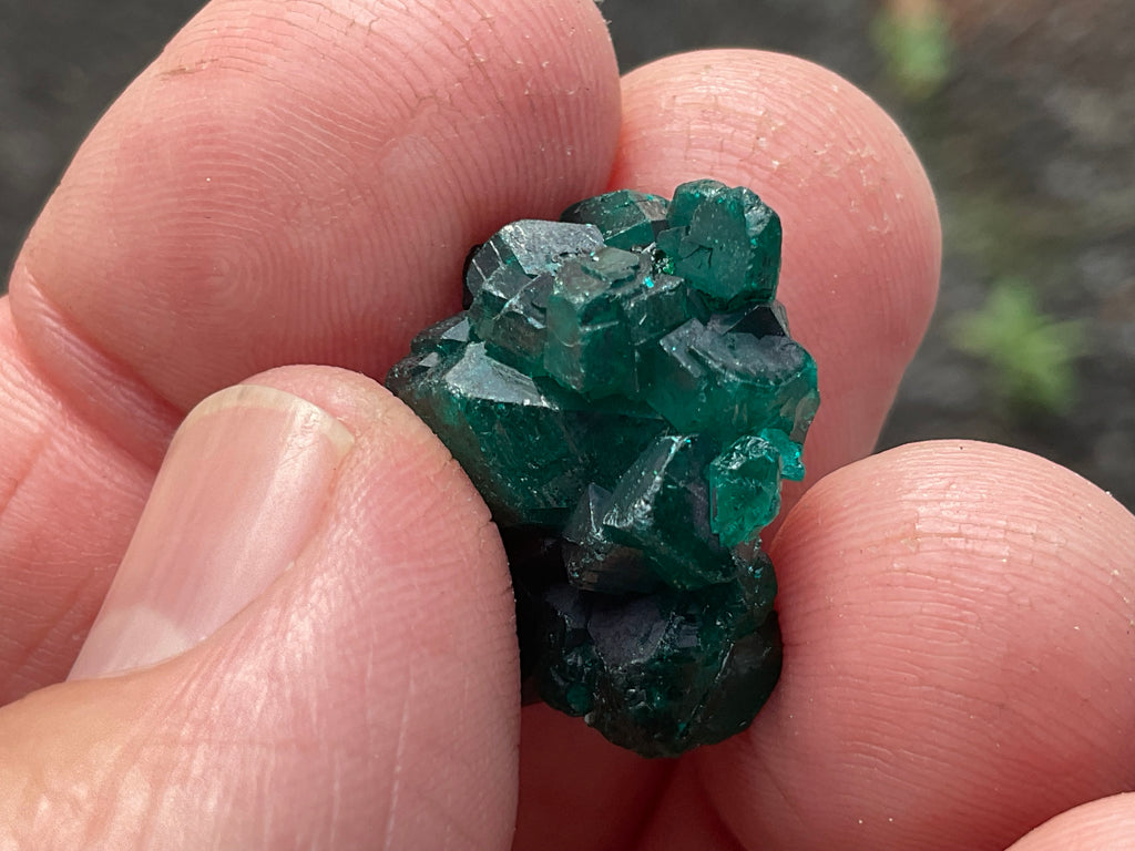 RESERVED FOR ASHRA ** 6g Congolese Dioptase Specimen B