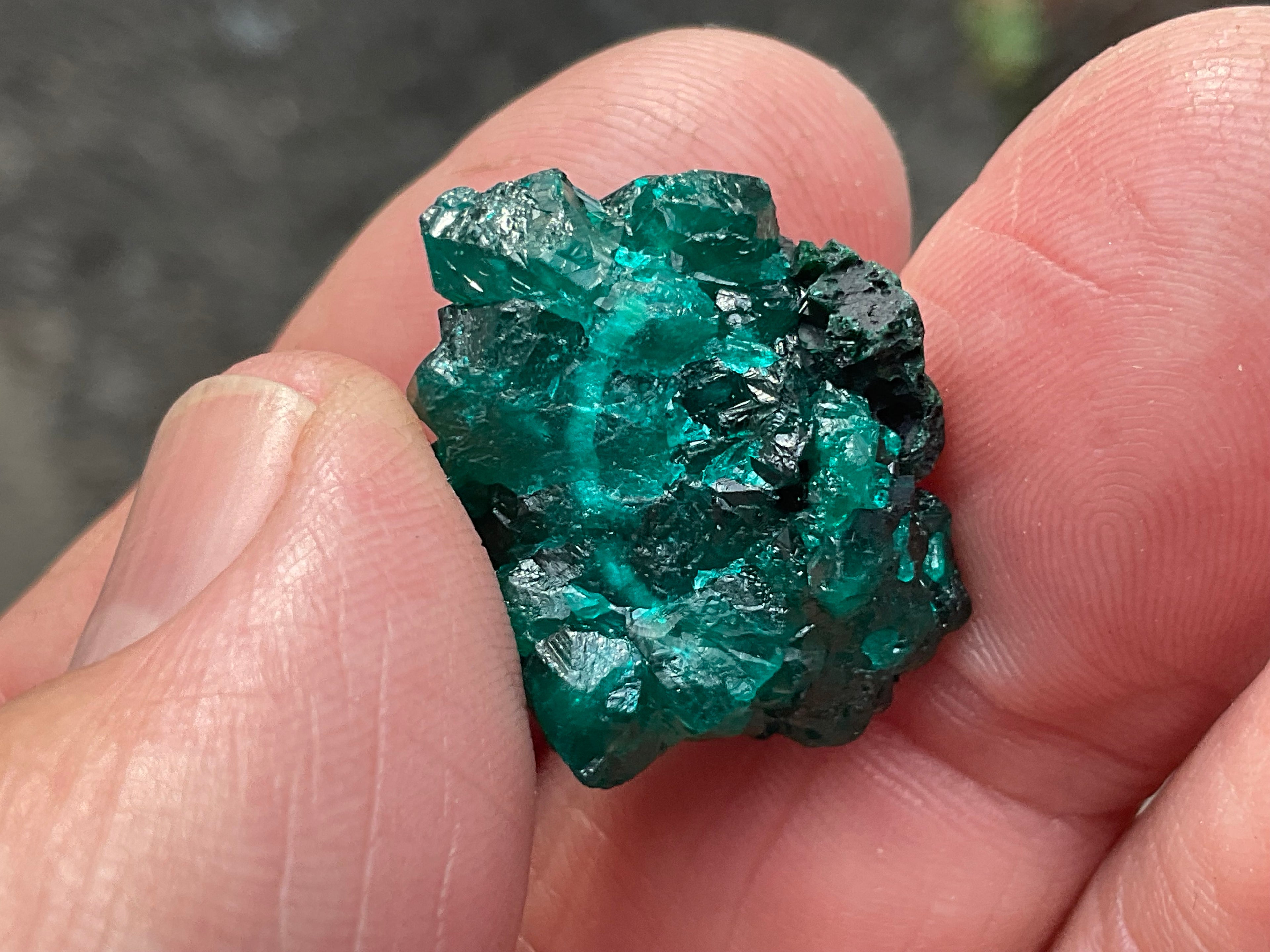 RESERVED FOR ASHRA ** 6g Congolese Dioptase Specimen B