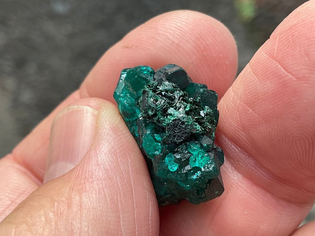 RESERVED FOR ASHRA ** 6g Congolese Dioptase Specimen B